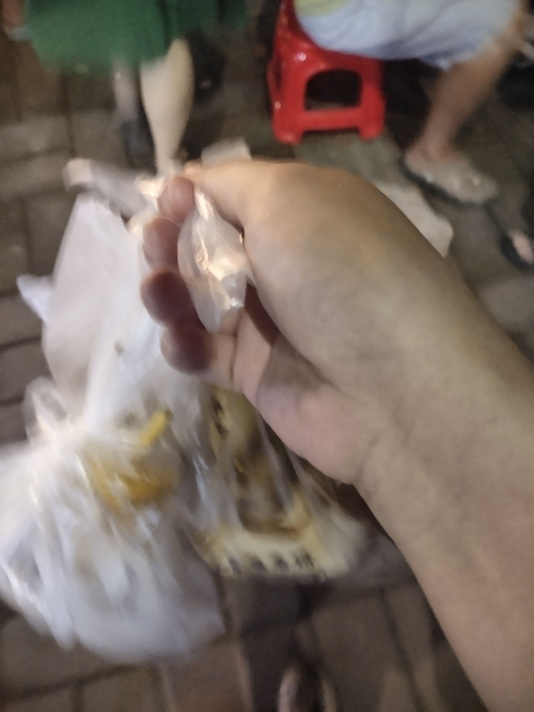 金丰公园旅行图片 1