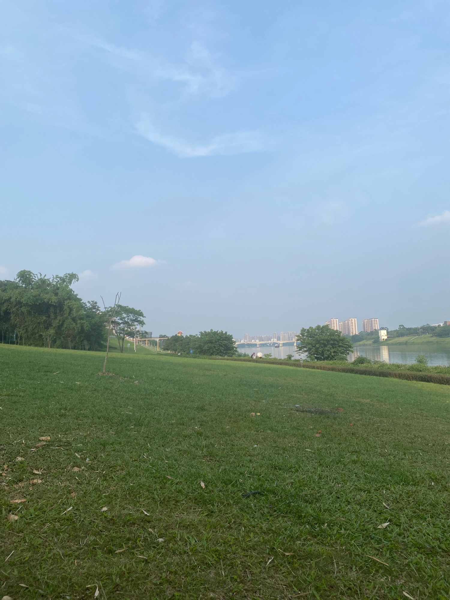 邕江运动公园旅行图片 2