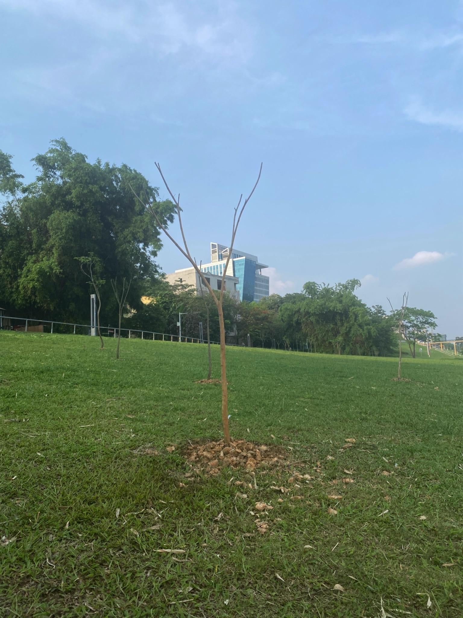 邕江运动公园旅行图片 1