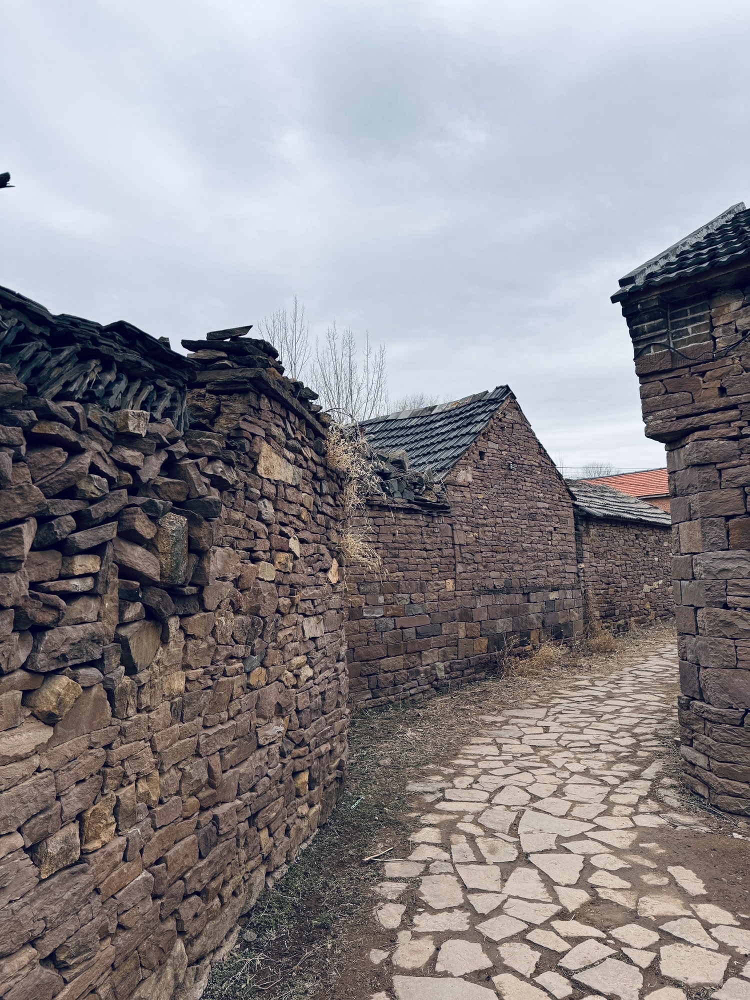 柏庄古村旅行图片 2