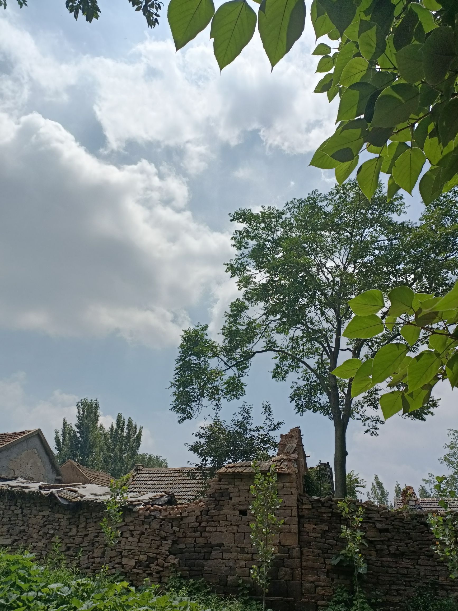 柏庄古村旅行图片 2