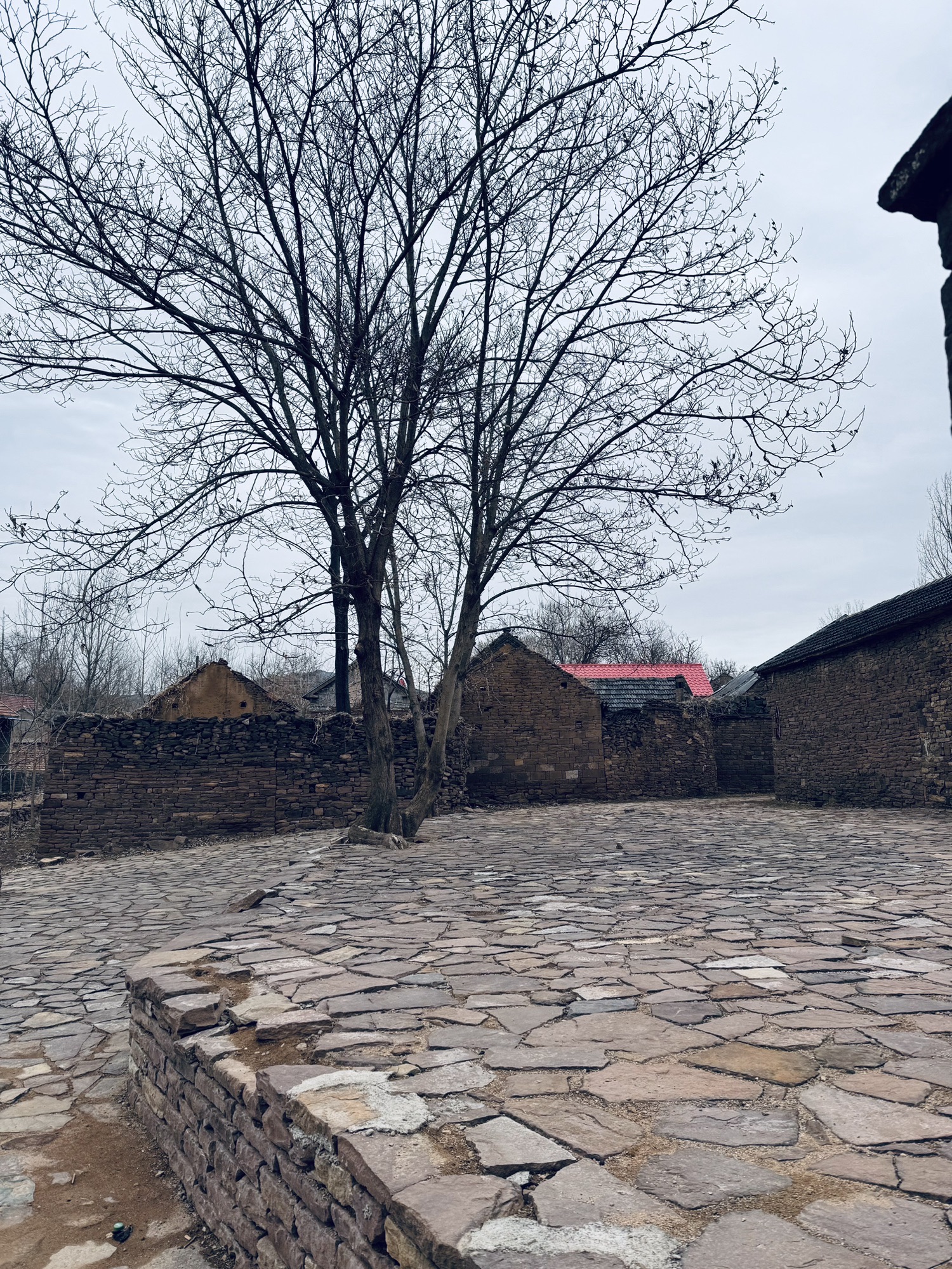 柏庄古村旅行图片 3