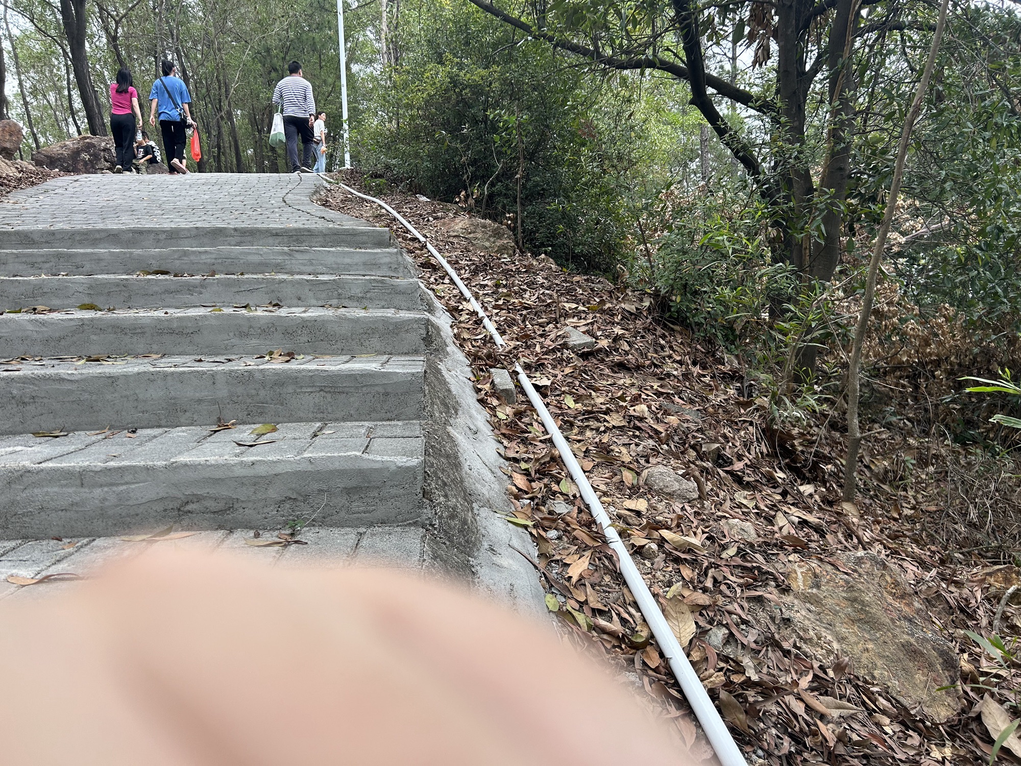 凤凰山旅行图片 1