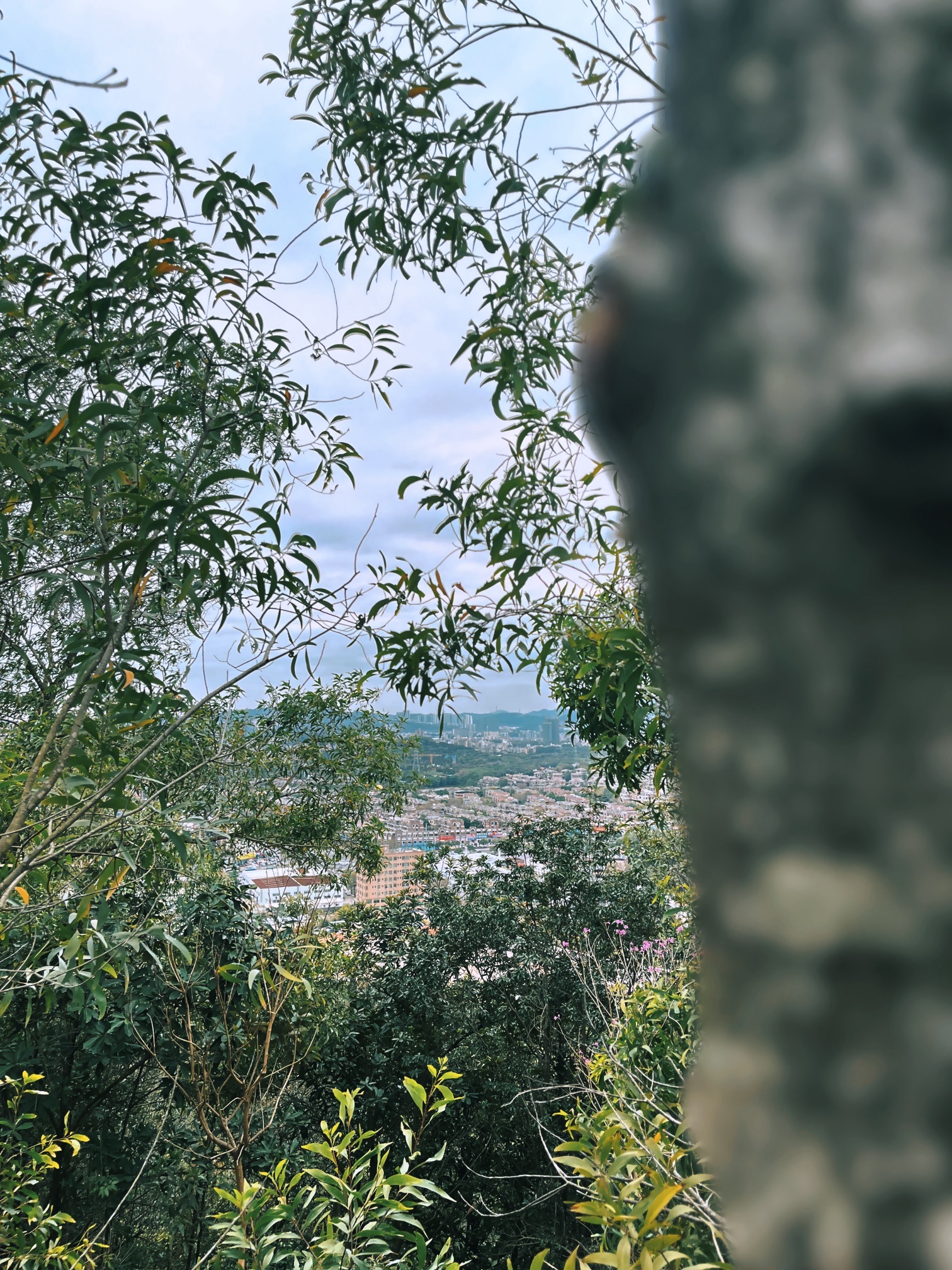 凤凰山旅行图片 3