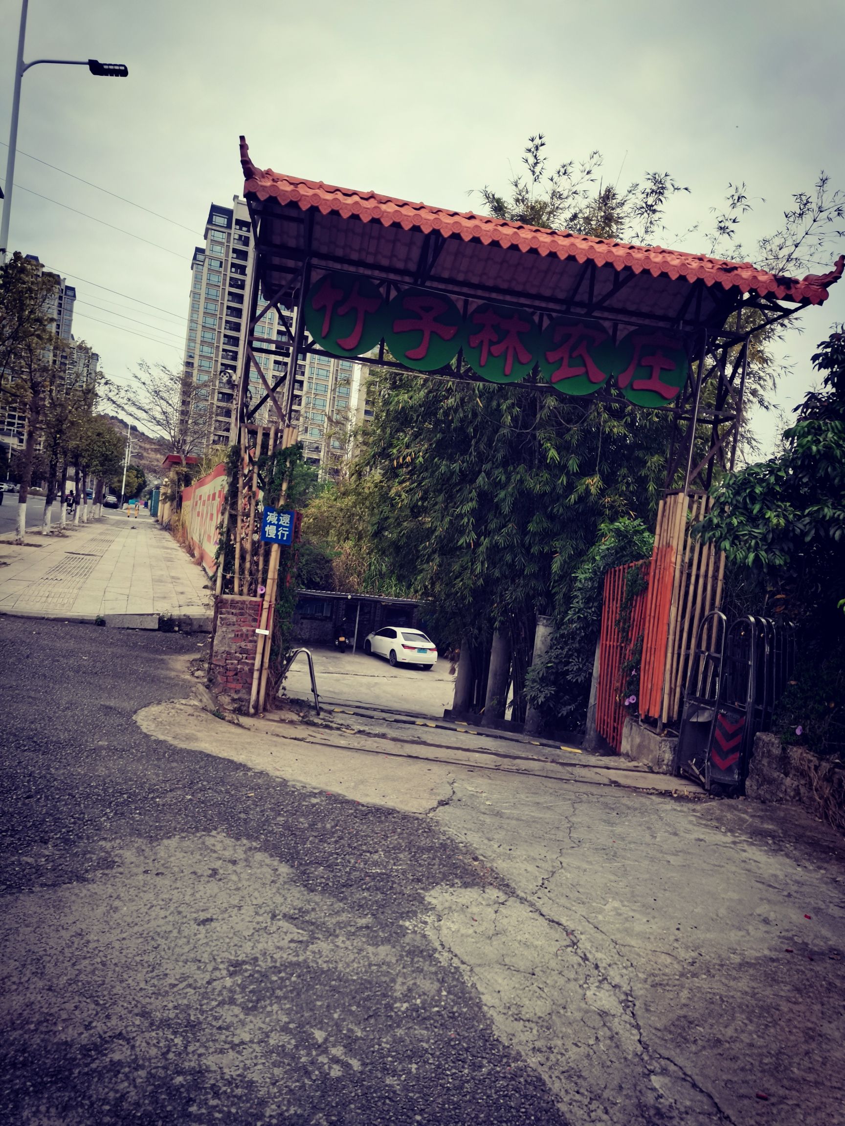 凤凰山旅行图片 1