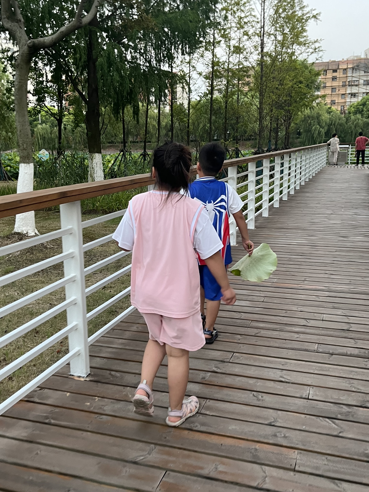 南汇新城芦潮港公园旅行图片 1