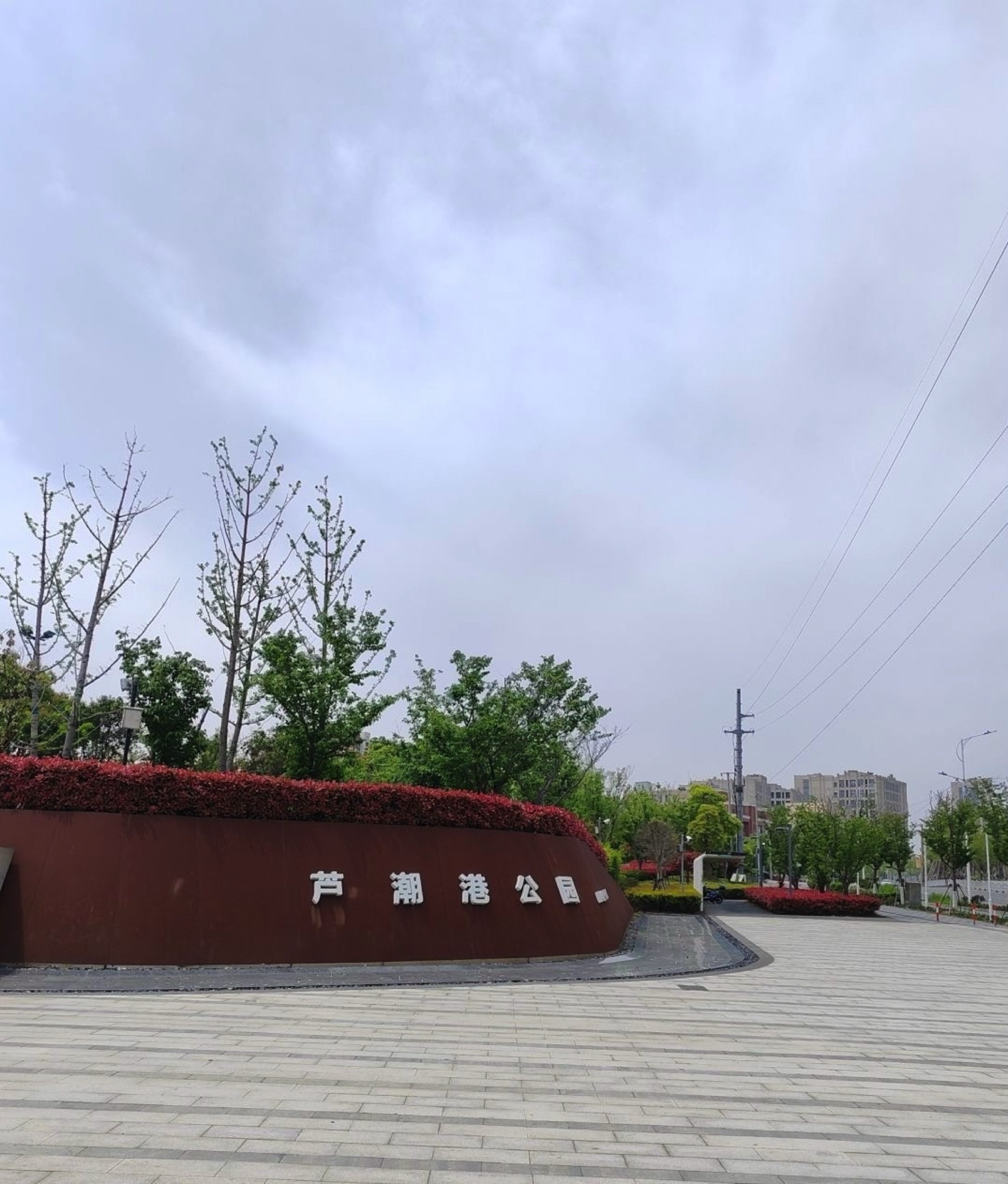 南汇新城芦潮港公园旅行图片 1
