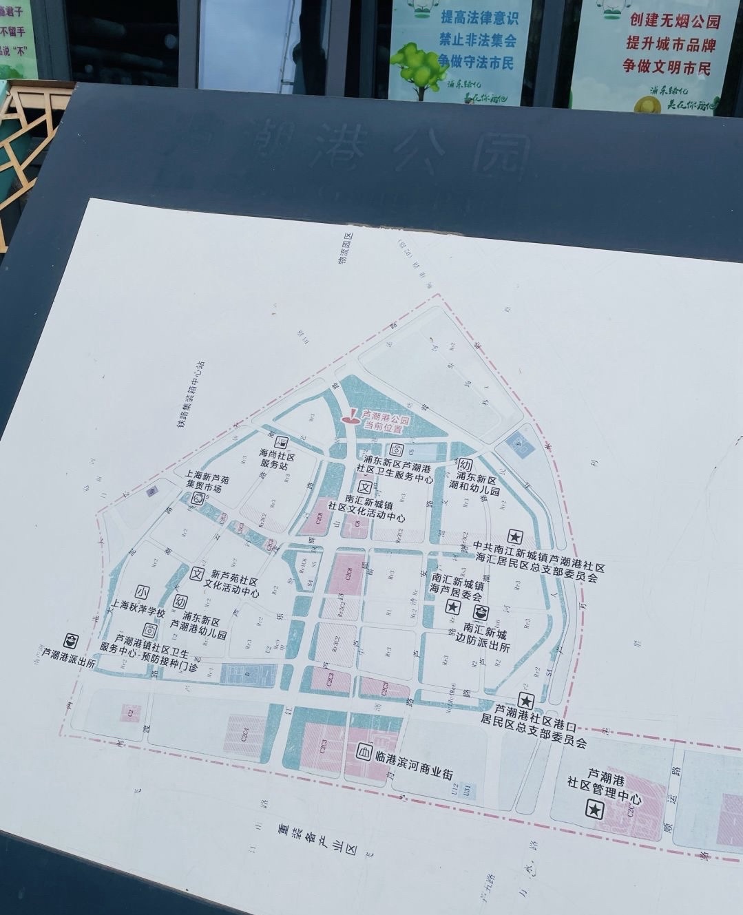 南汇新城芦潮港公园旅行图片 2