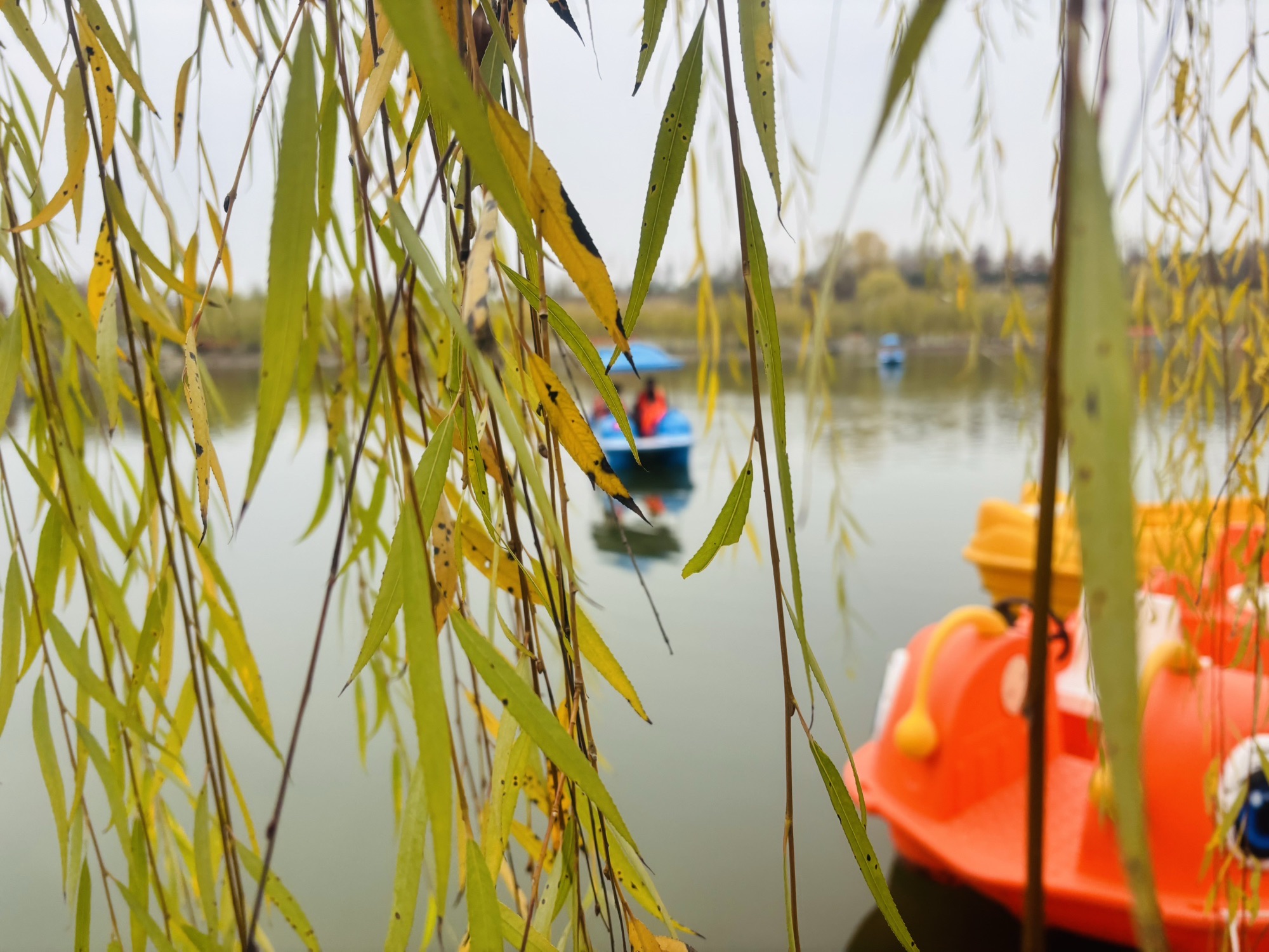 双锁山风景区旅行图片 3