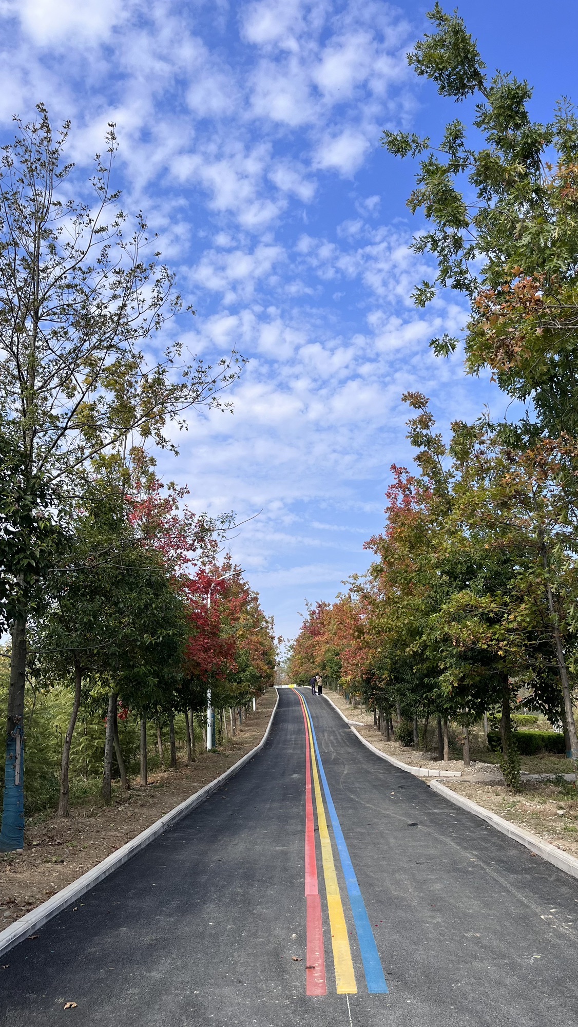 双锁山风景区旅行图片 2