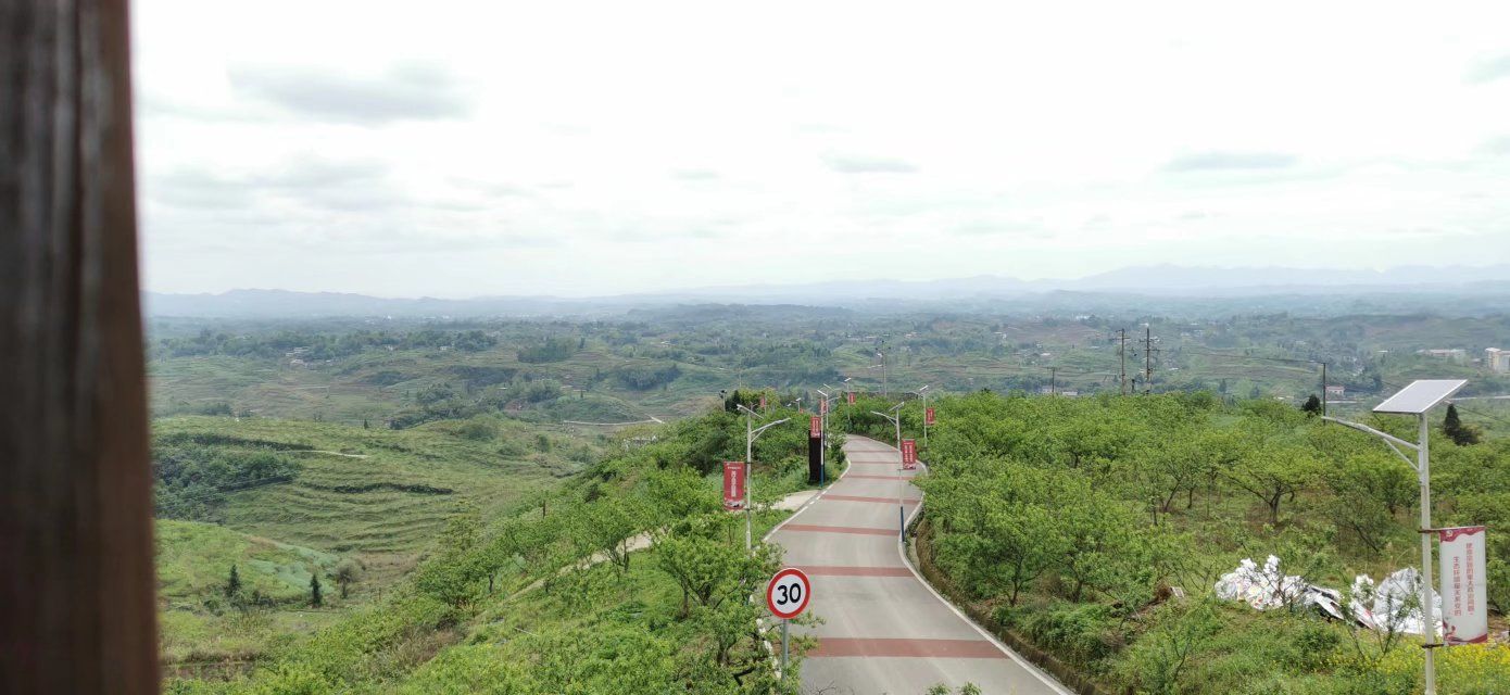 五洞李花源旅行图片 2
