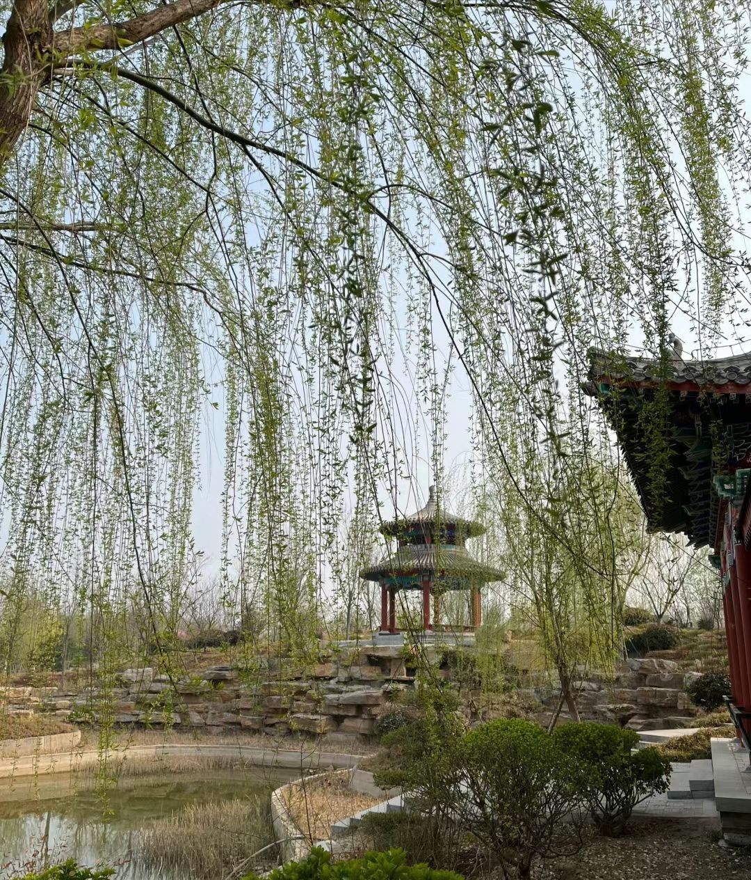 襄湖旅行图片 3