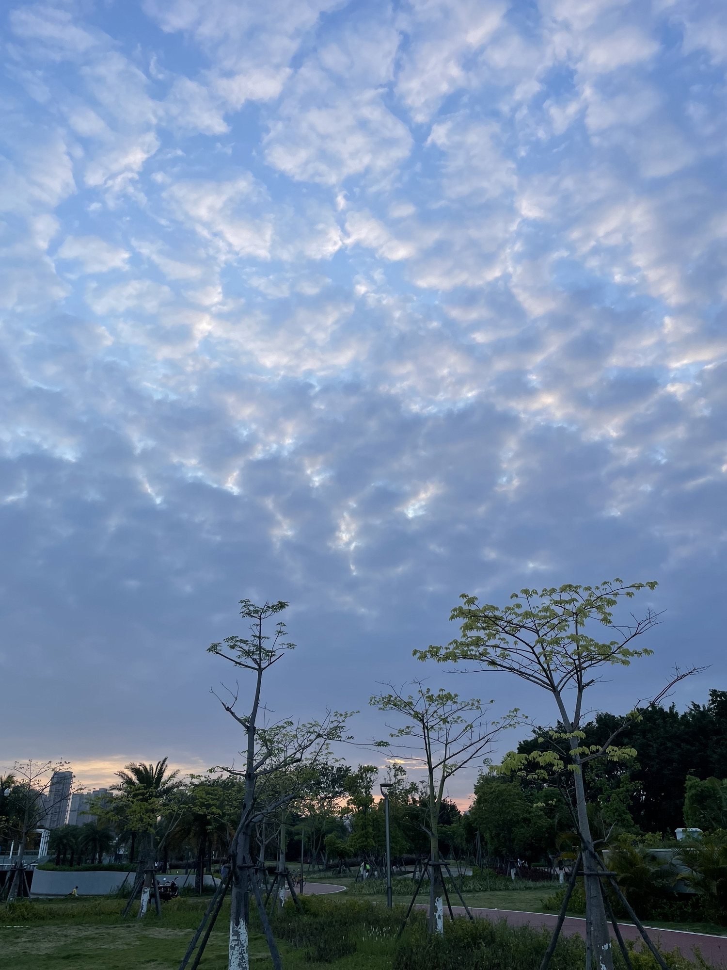 泉州北滨江公园浦西园旅行图片 2