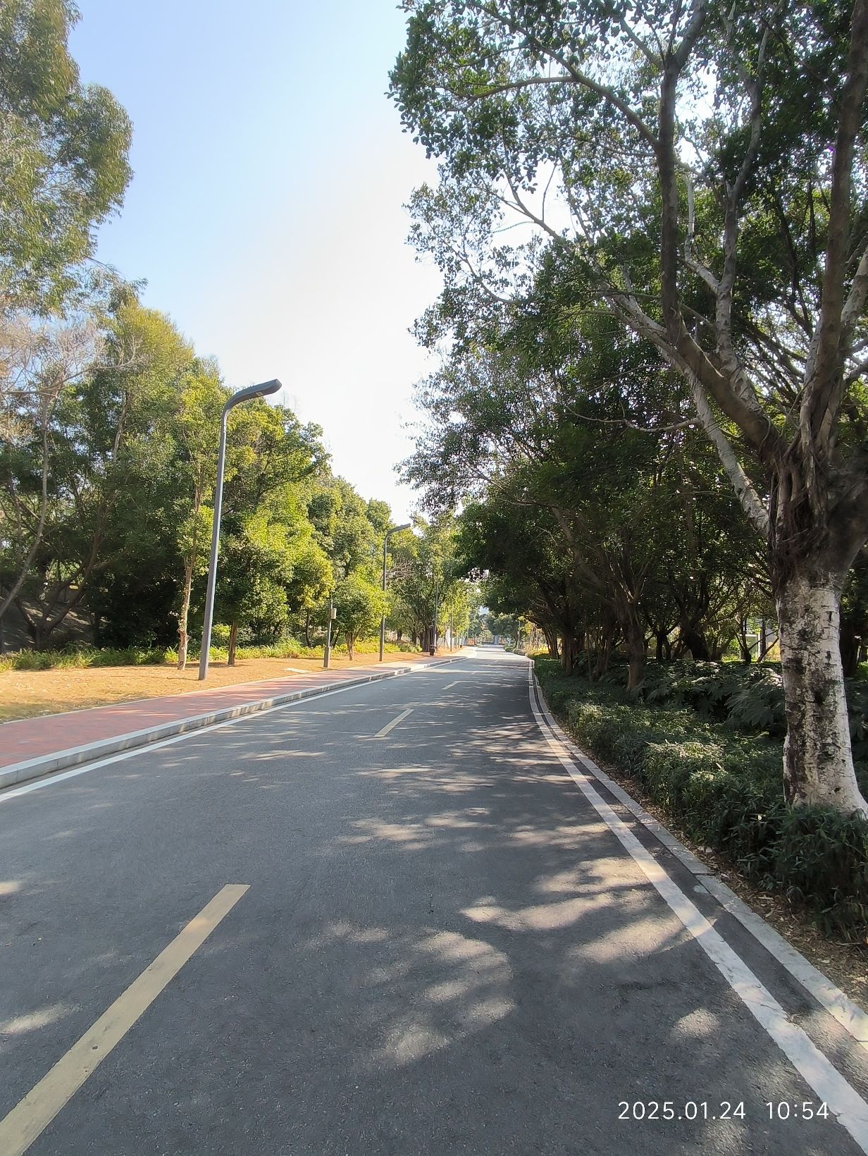 泉州北滨江公园浦西园旅行图片 2
