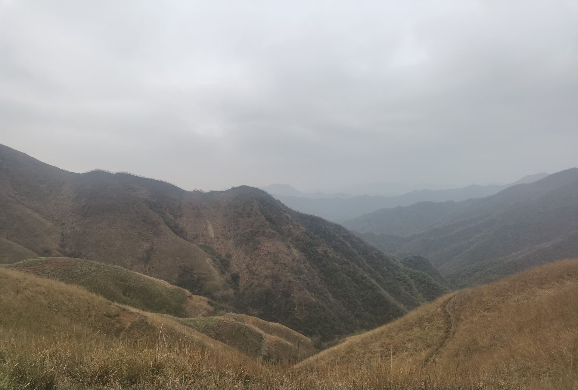 桃源县沙坪镇赛阳村赛五龙广场旅行图片 2