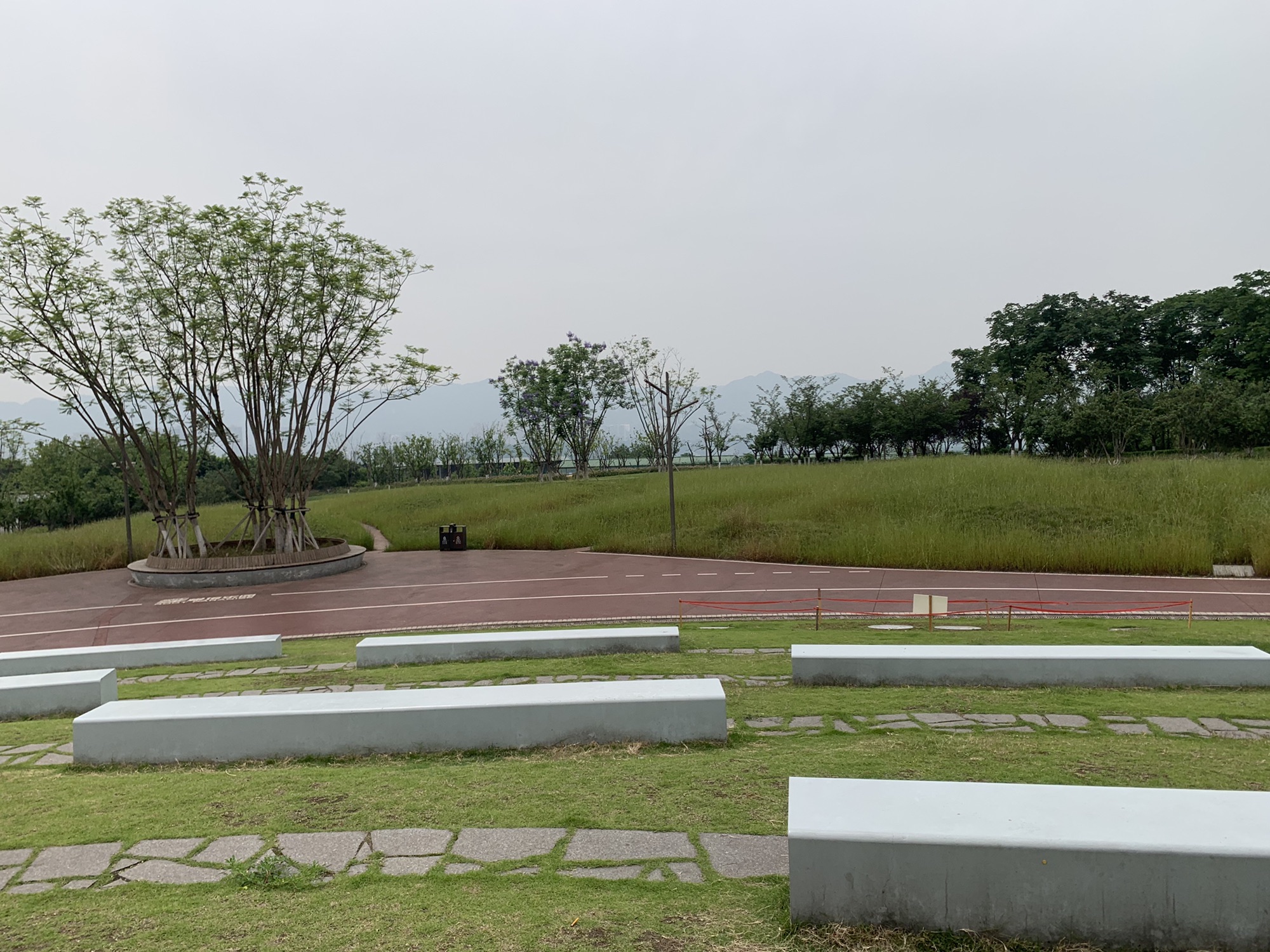 云树公园旅行图片 3