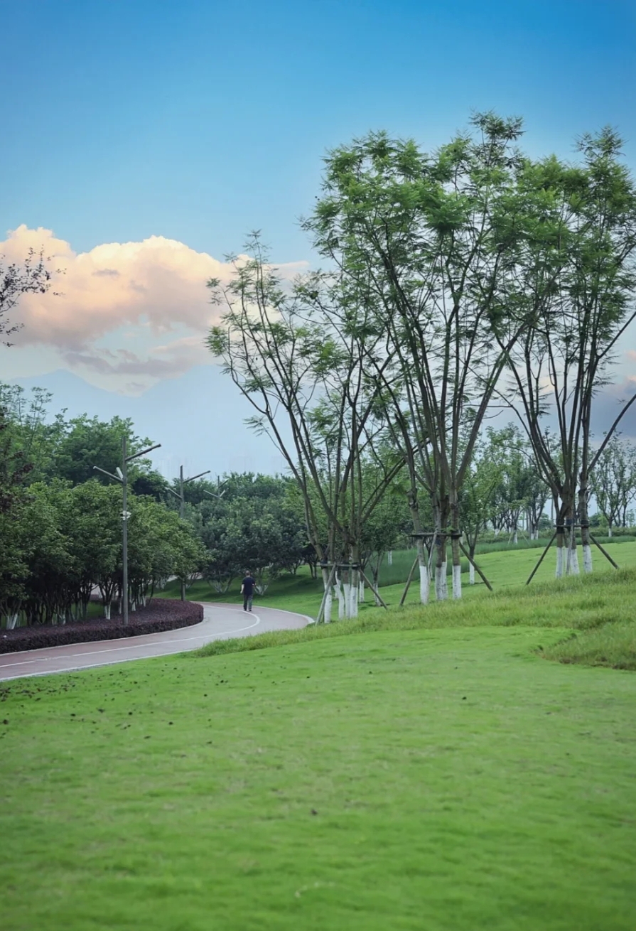 云树公园旅行图片 2