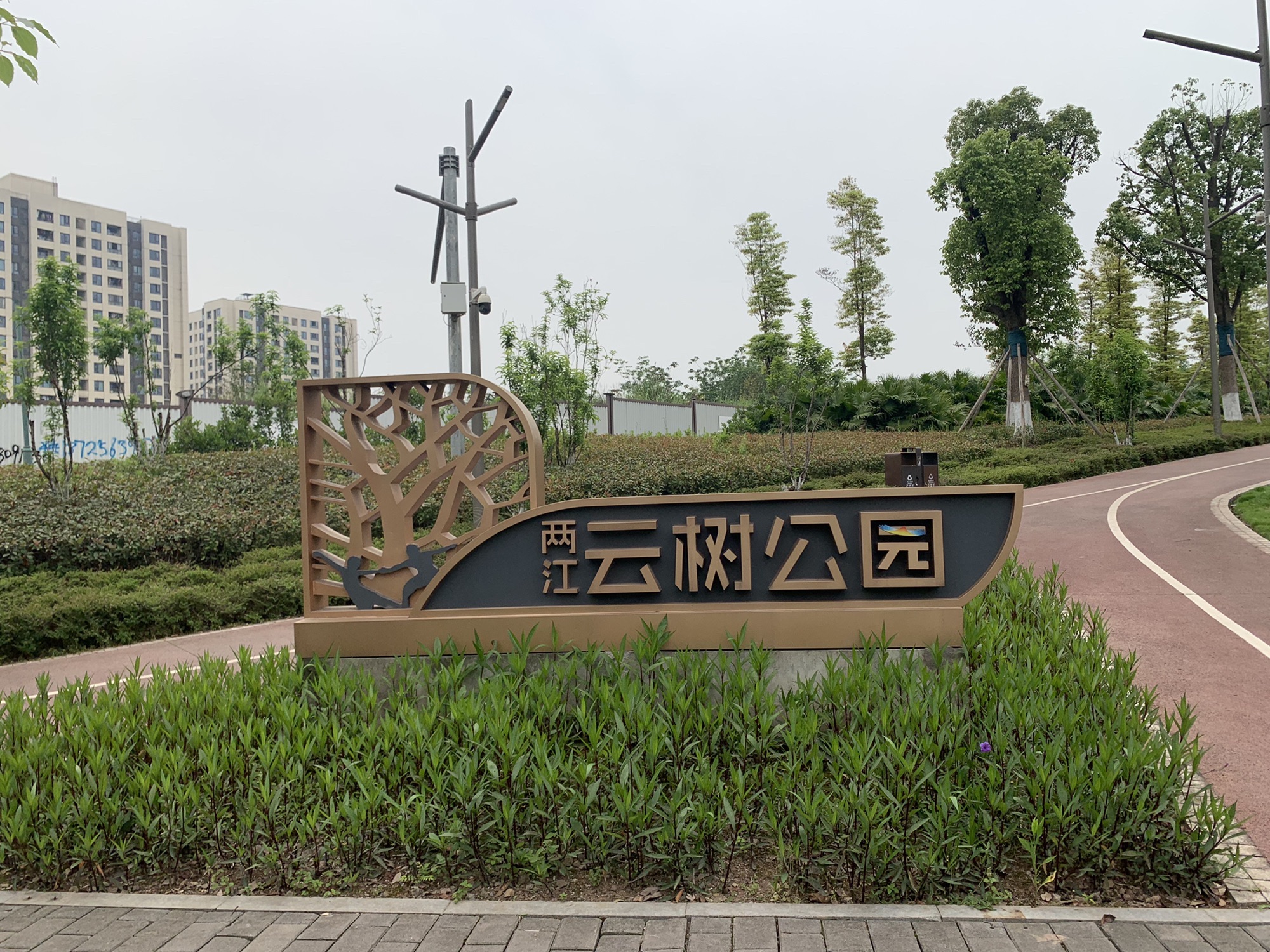 云树公园旅行图片 1