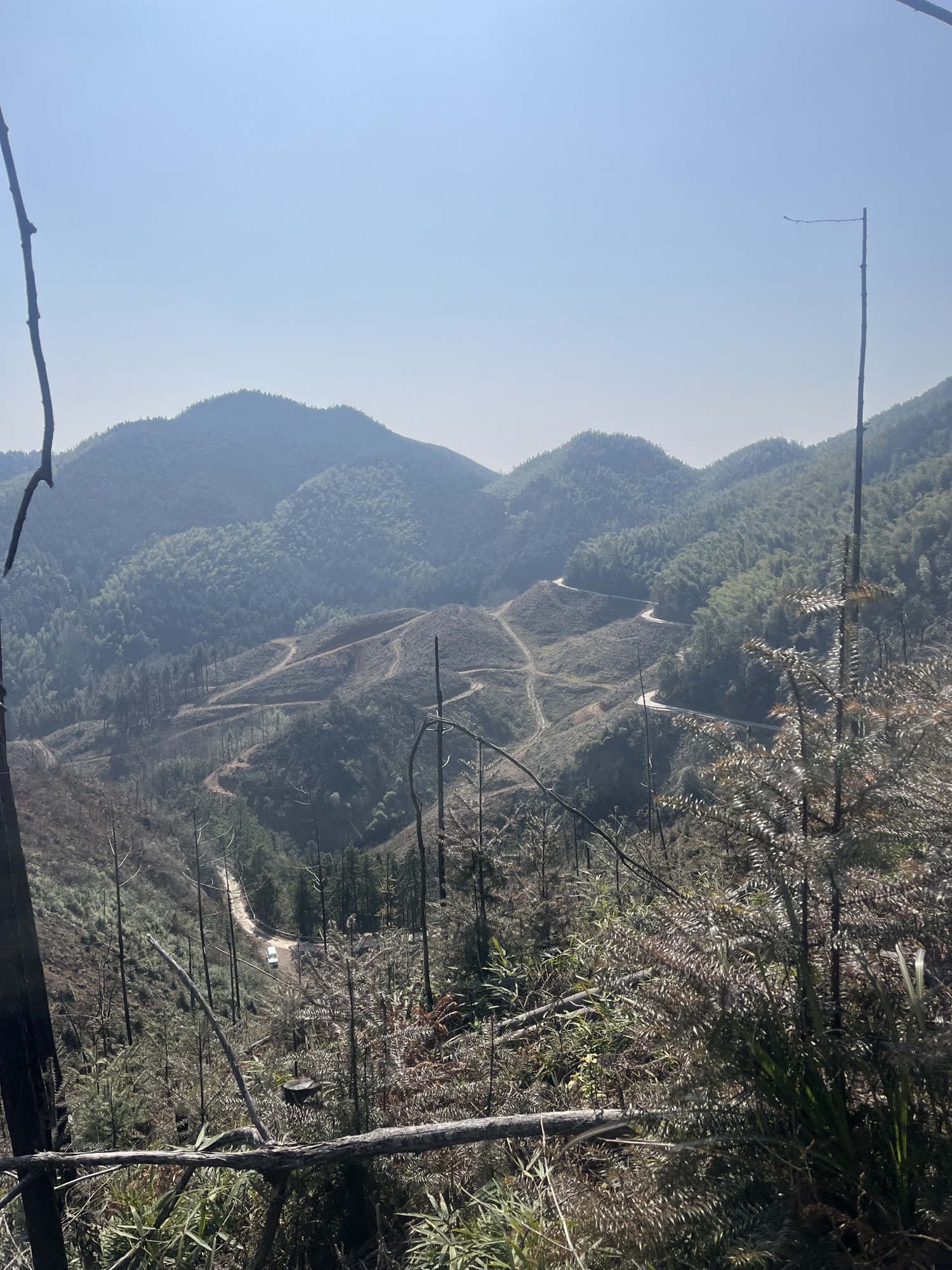 武冈市天子山森林康养旅游度假区旅行图片 2