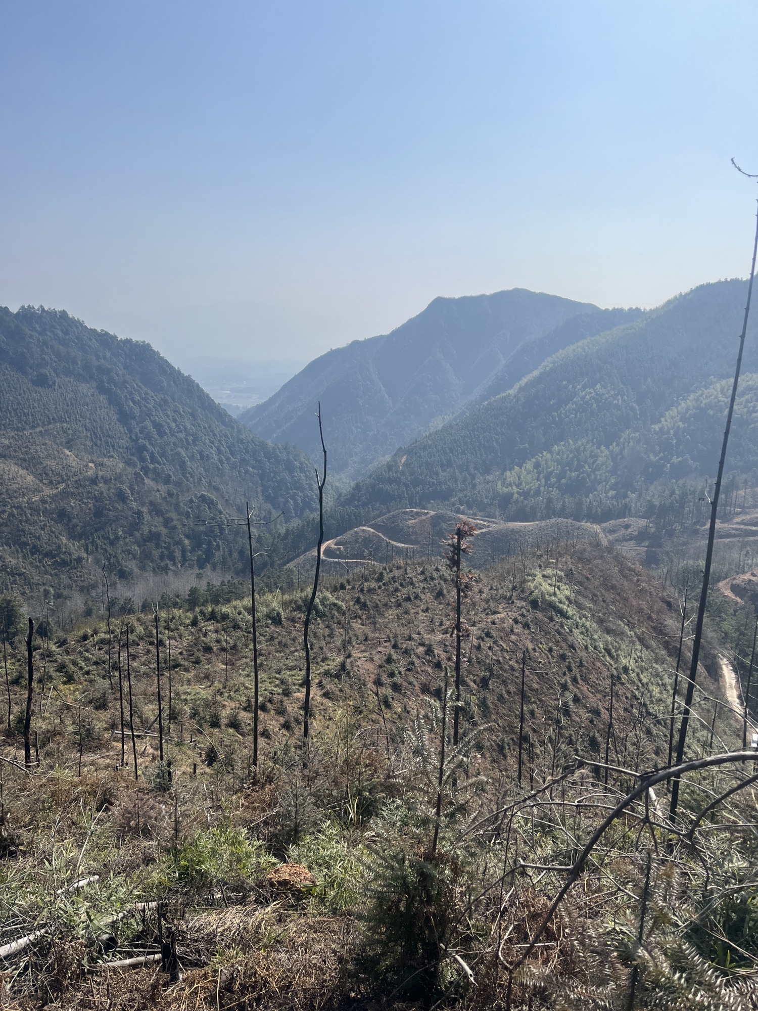 武冈市天子山森林康养旅游度假区旅行图片 3