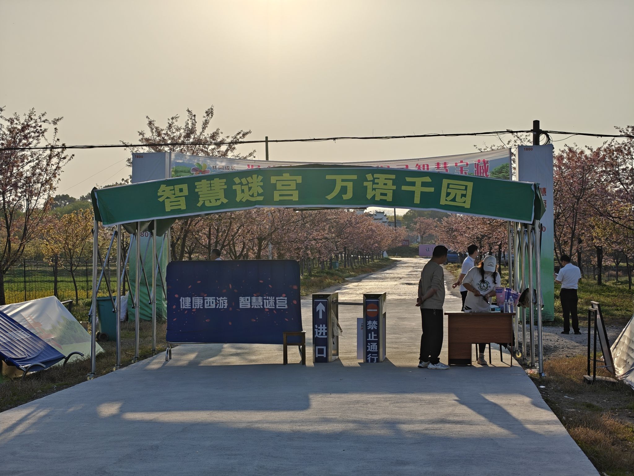 智慧谜宫樱花园旅行图片 1