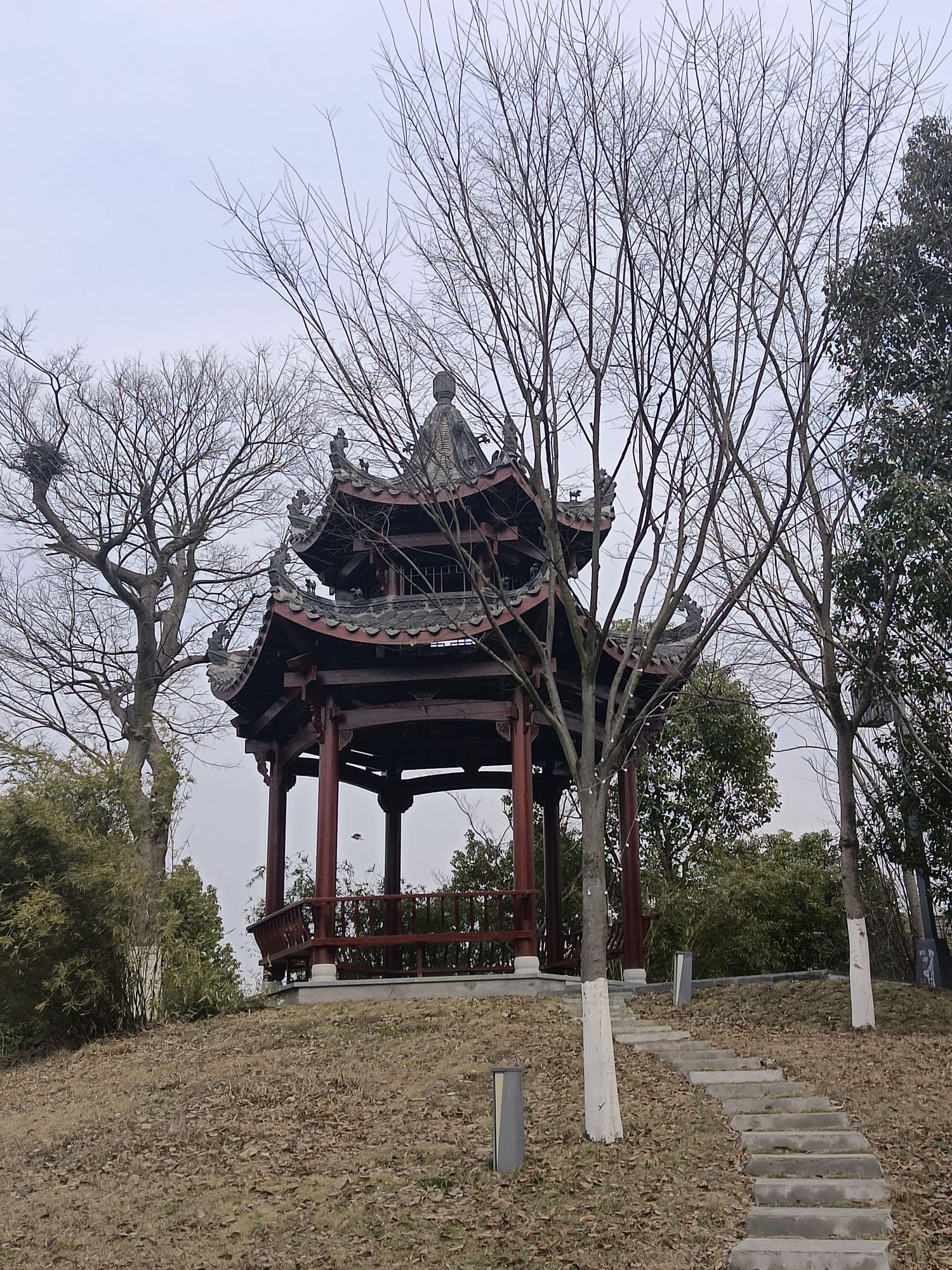 桃园槜李广场旅行图片 3