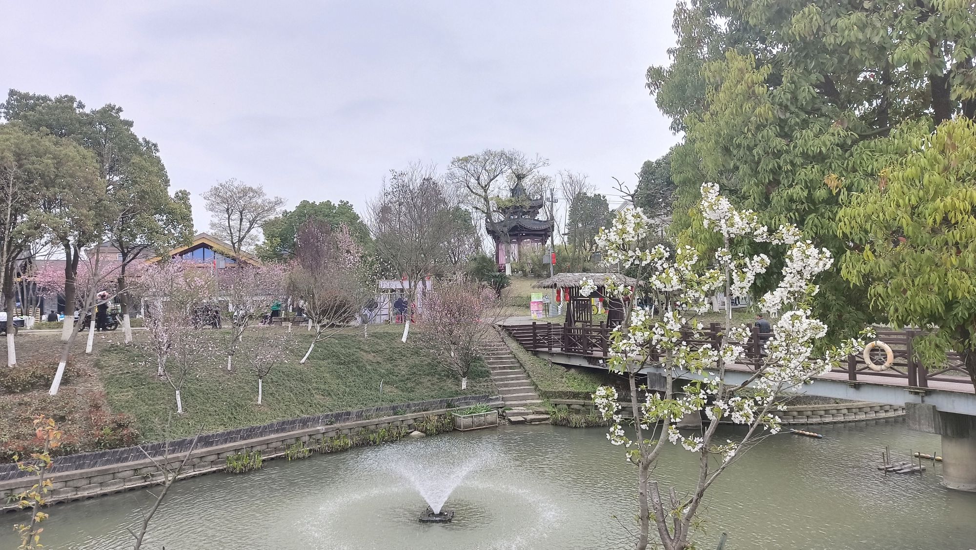 桃园槜李广场旅行图片 1