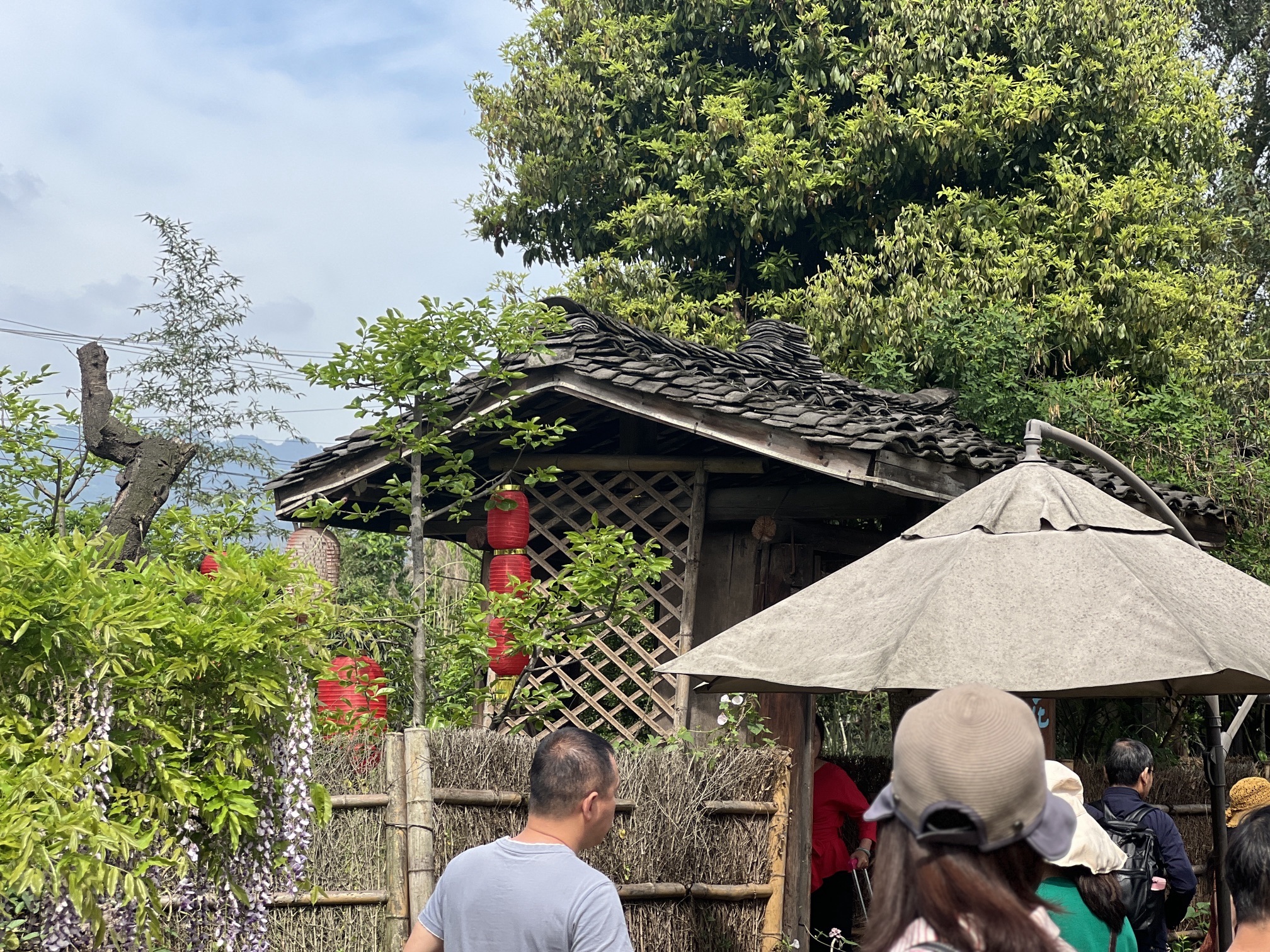 简陋田野旅行图片 3