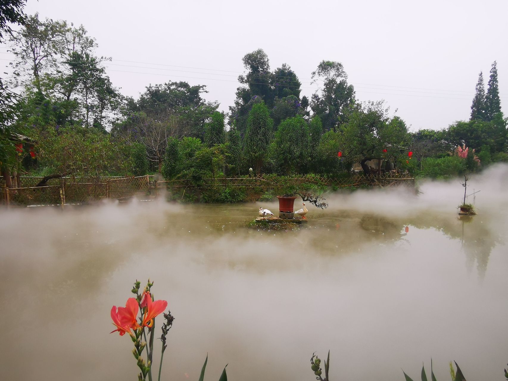 简陋田野旅行图片 1