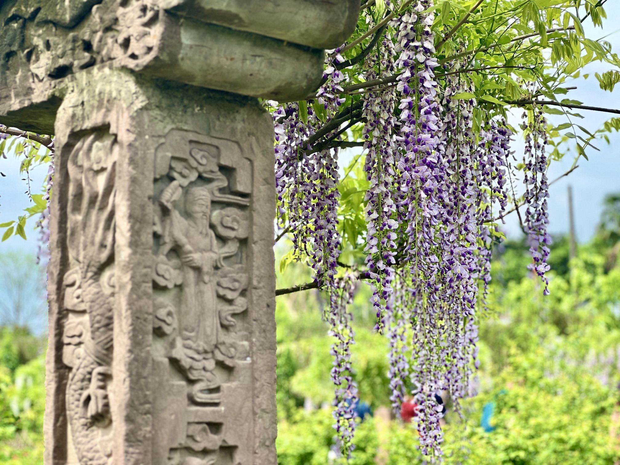 简陋田野旅行图片 1