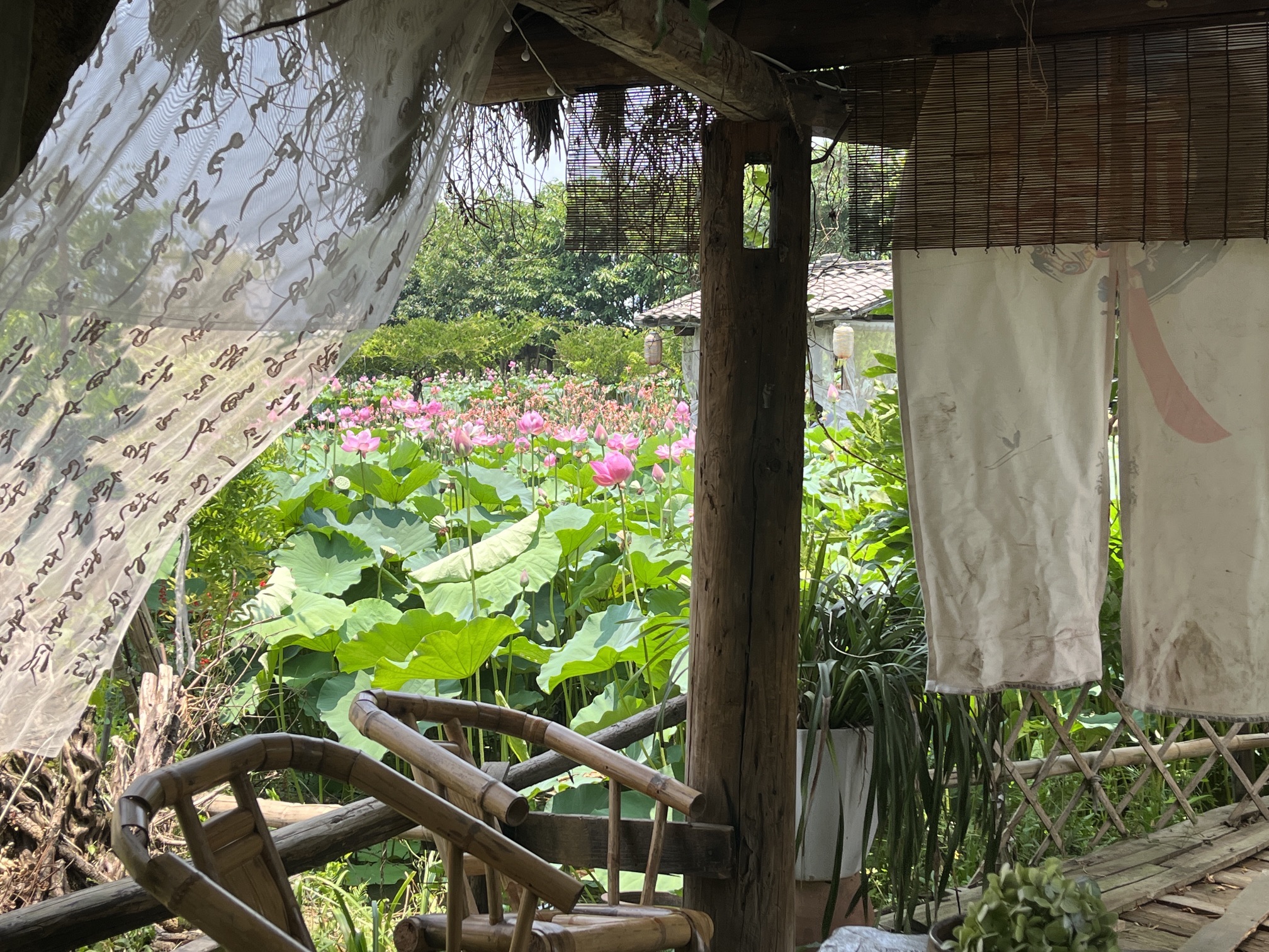 简陋田野旅行图片 2