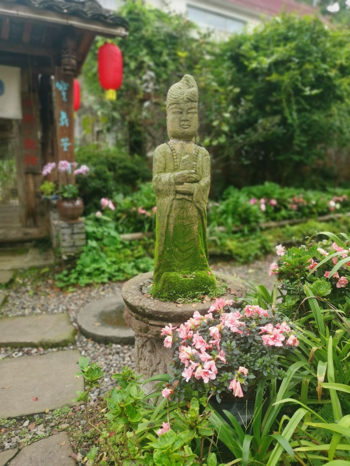 简陋田野旅行图片 3