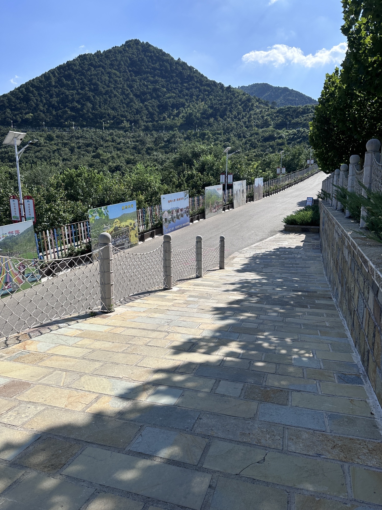 南山常乐谷(暂停开放)旅行图片 1