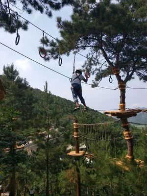 南山常乐谷(暂停开放)旅行图片 1