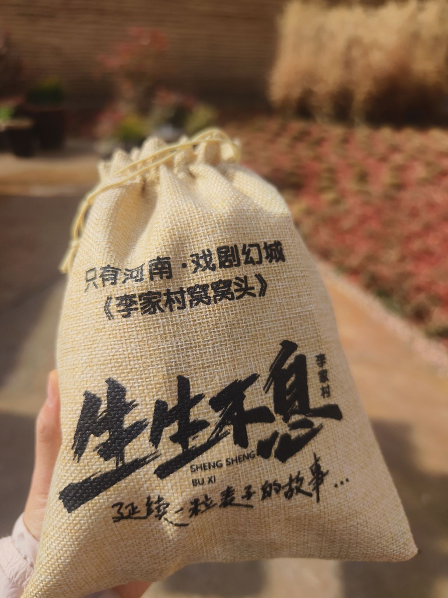 只有河南·戏剧幻城旅行图片 2