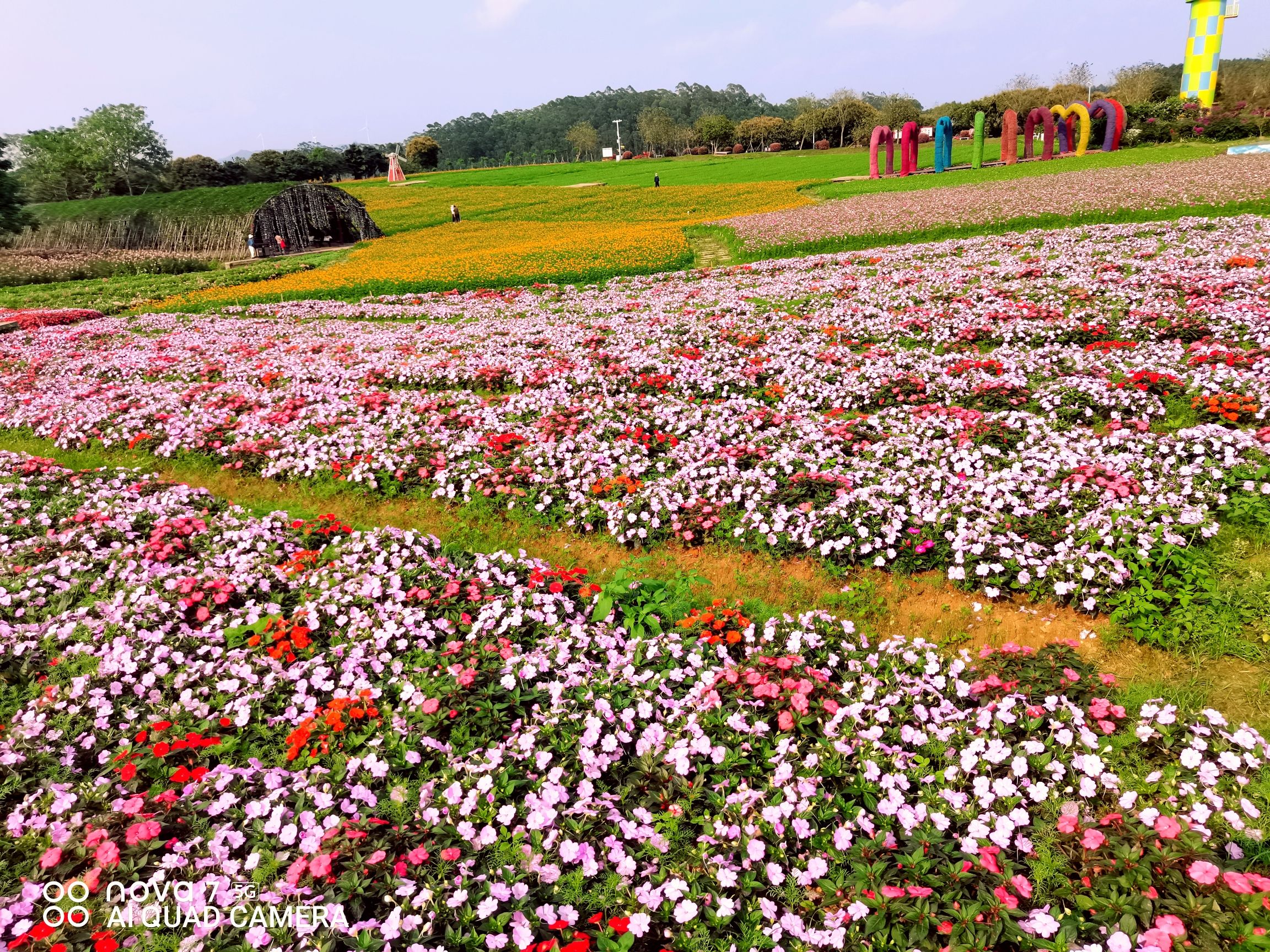 北部湾花卉中心广场旅行图片 3