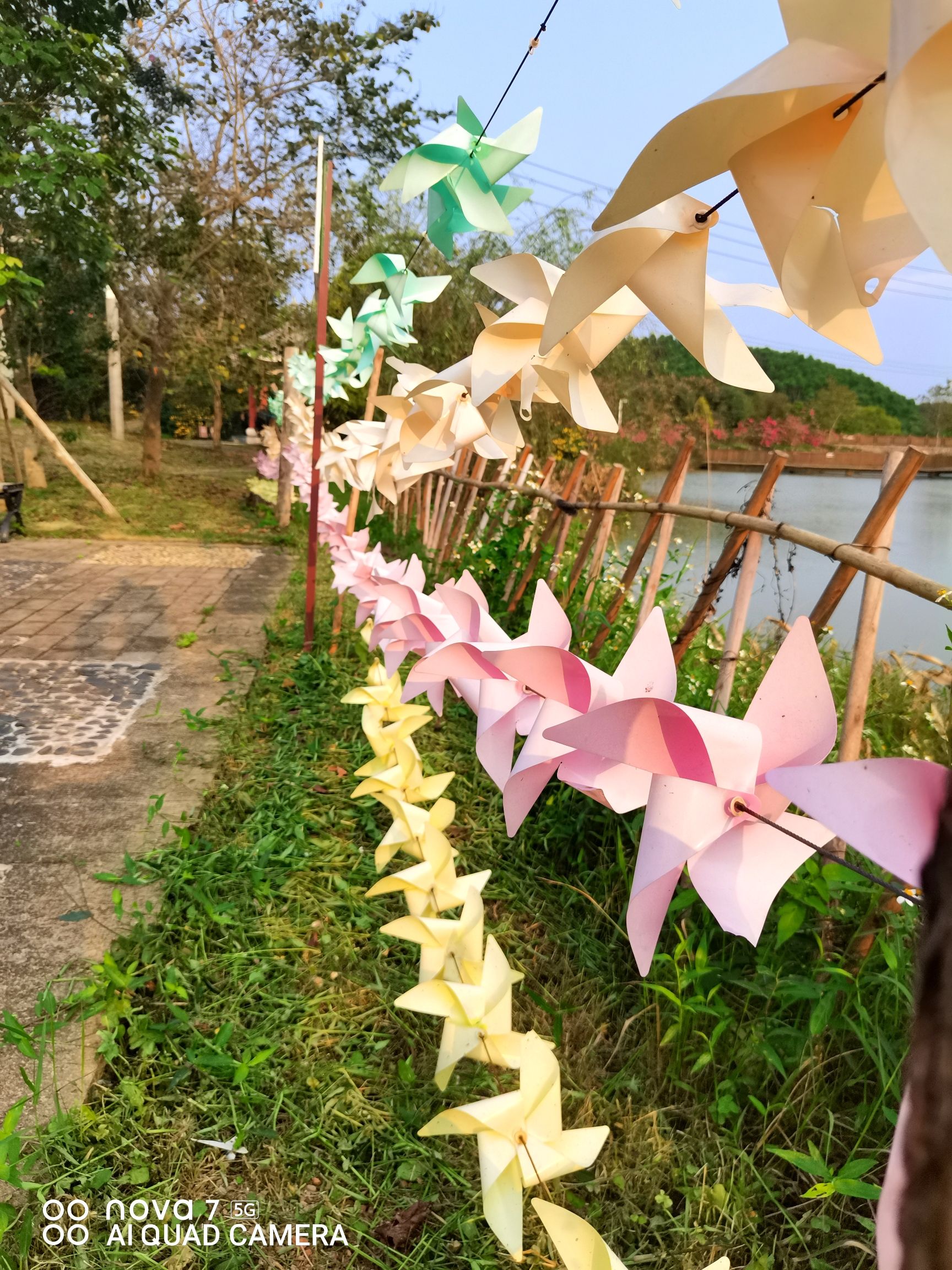 北部湾花卉中心广场旅行图片 1