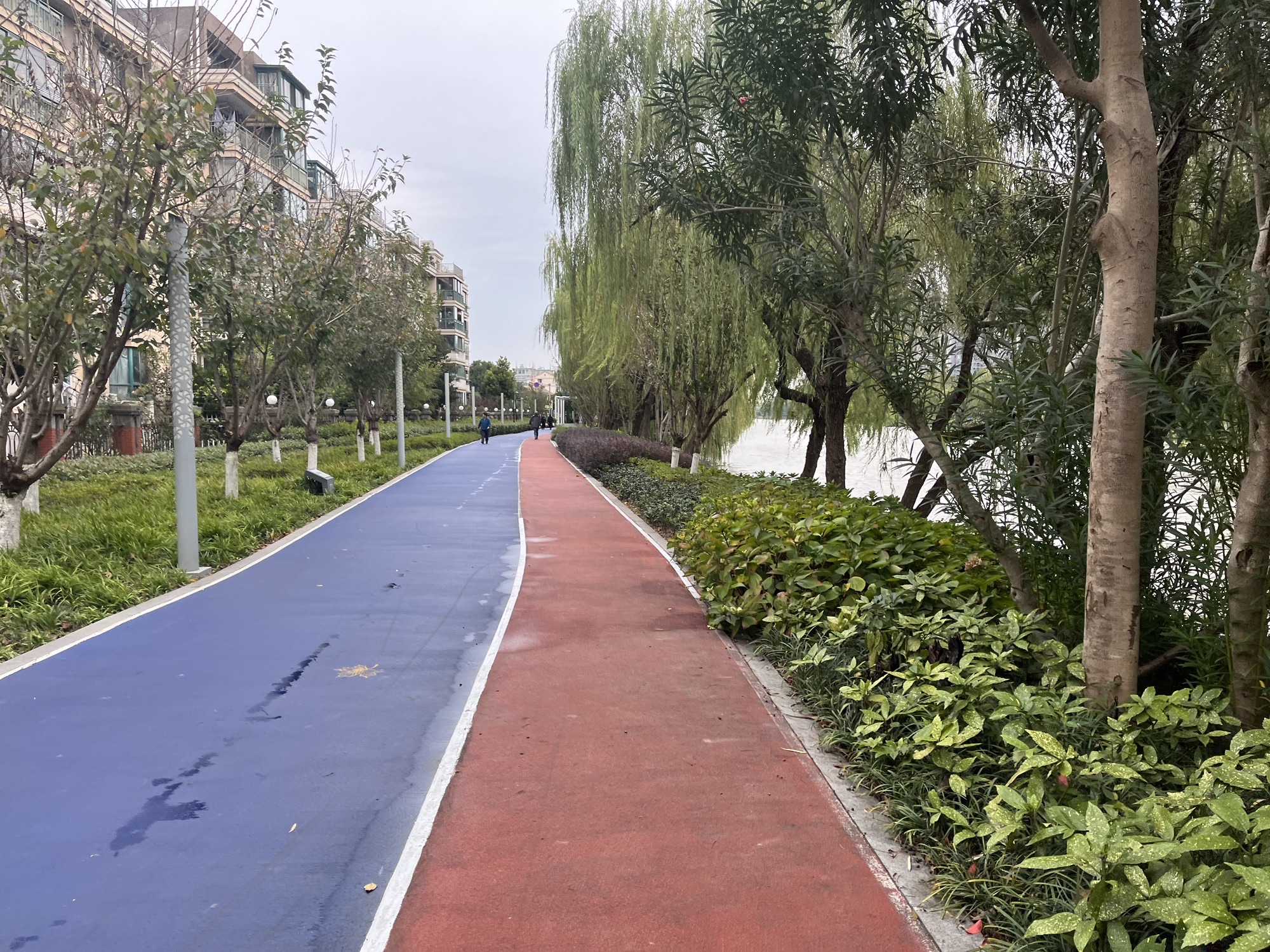 平湖·环城绿道旅行图片 2