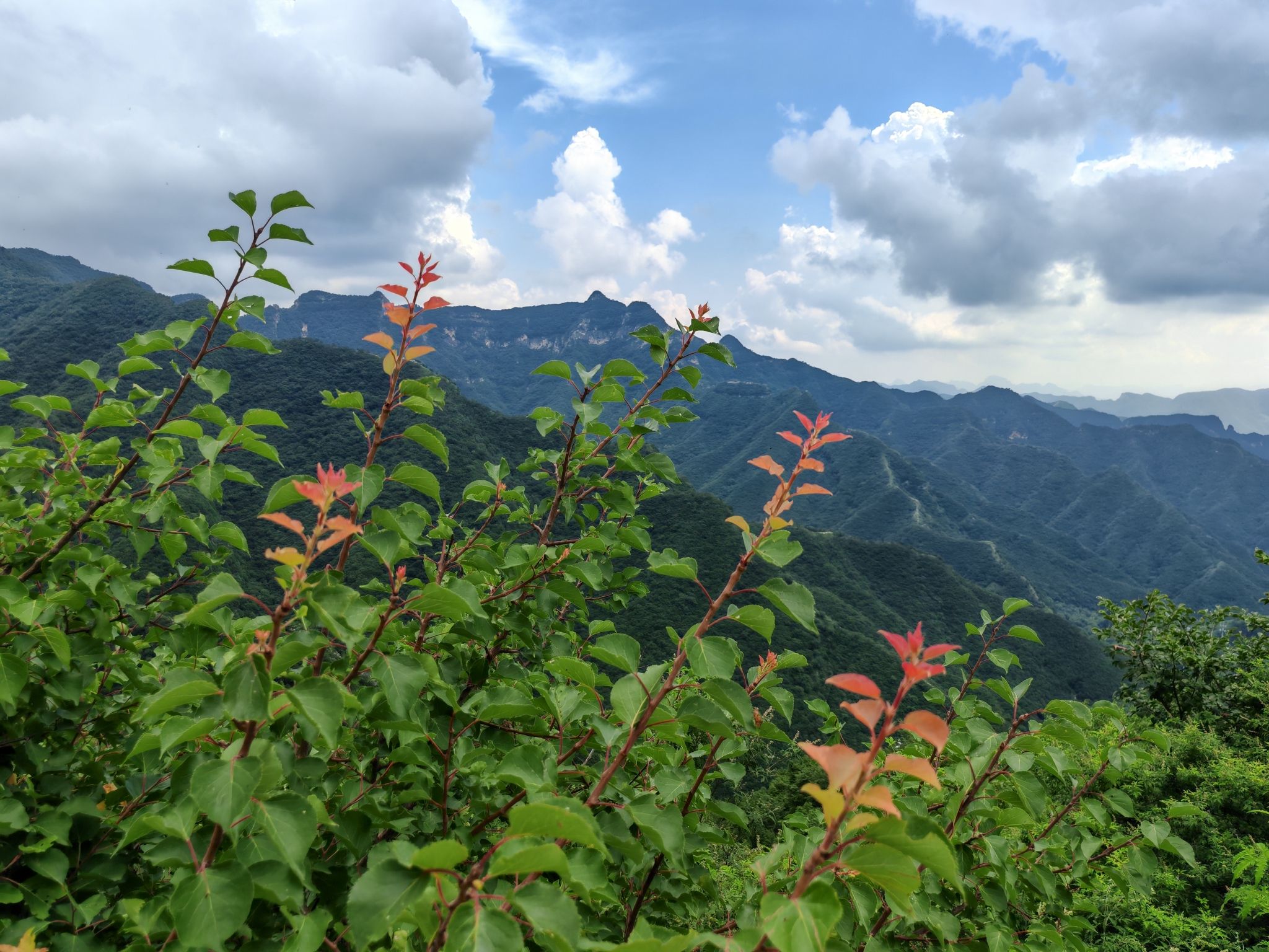观景台旅行图片 3