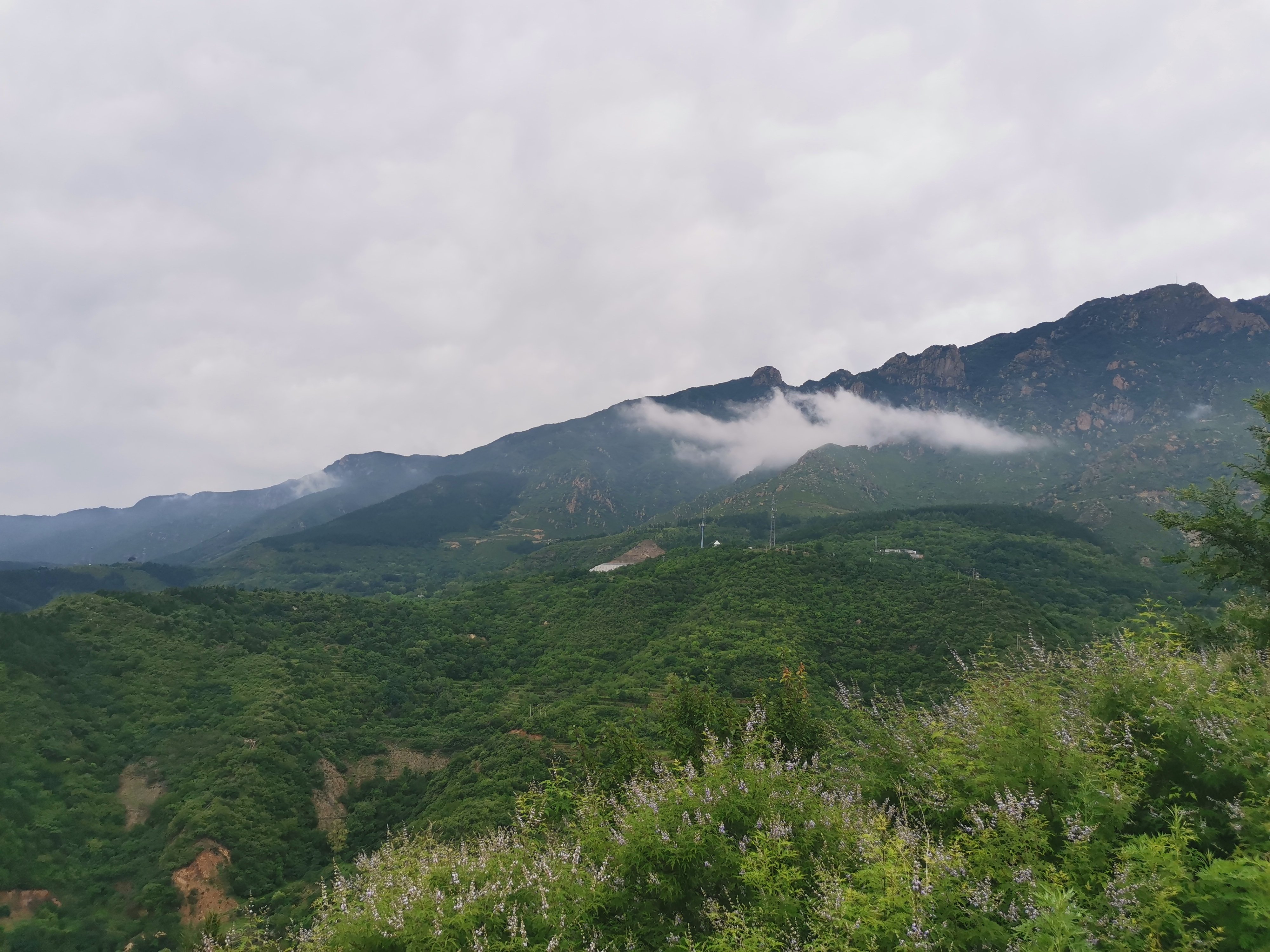 观景台旅行图片 2