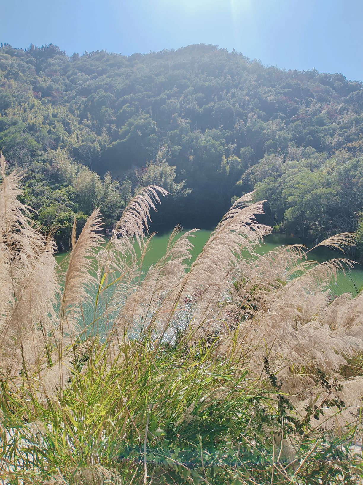 汕头市百花山风景区旅行图片 3