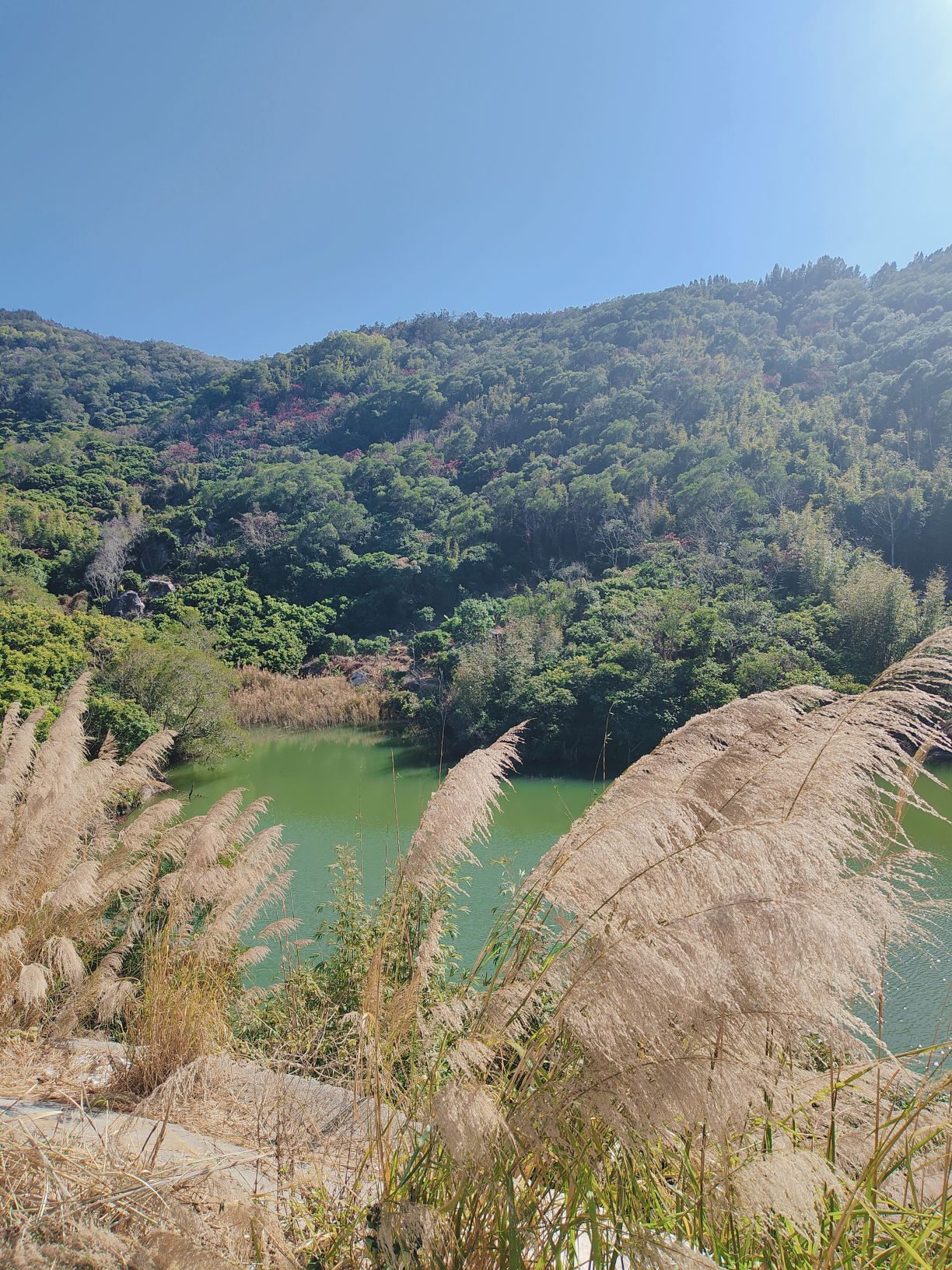 汕头市百花山风景区旅行图片 2