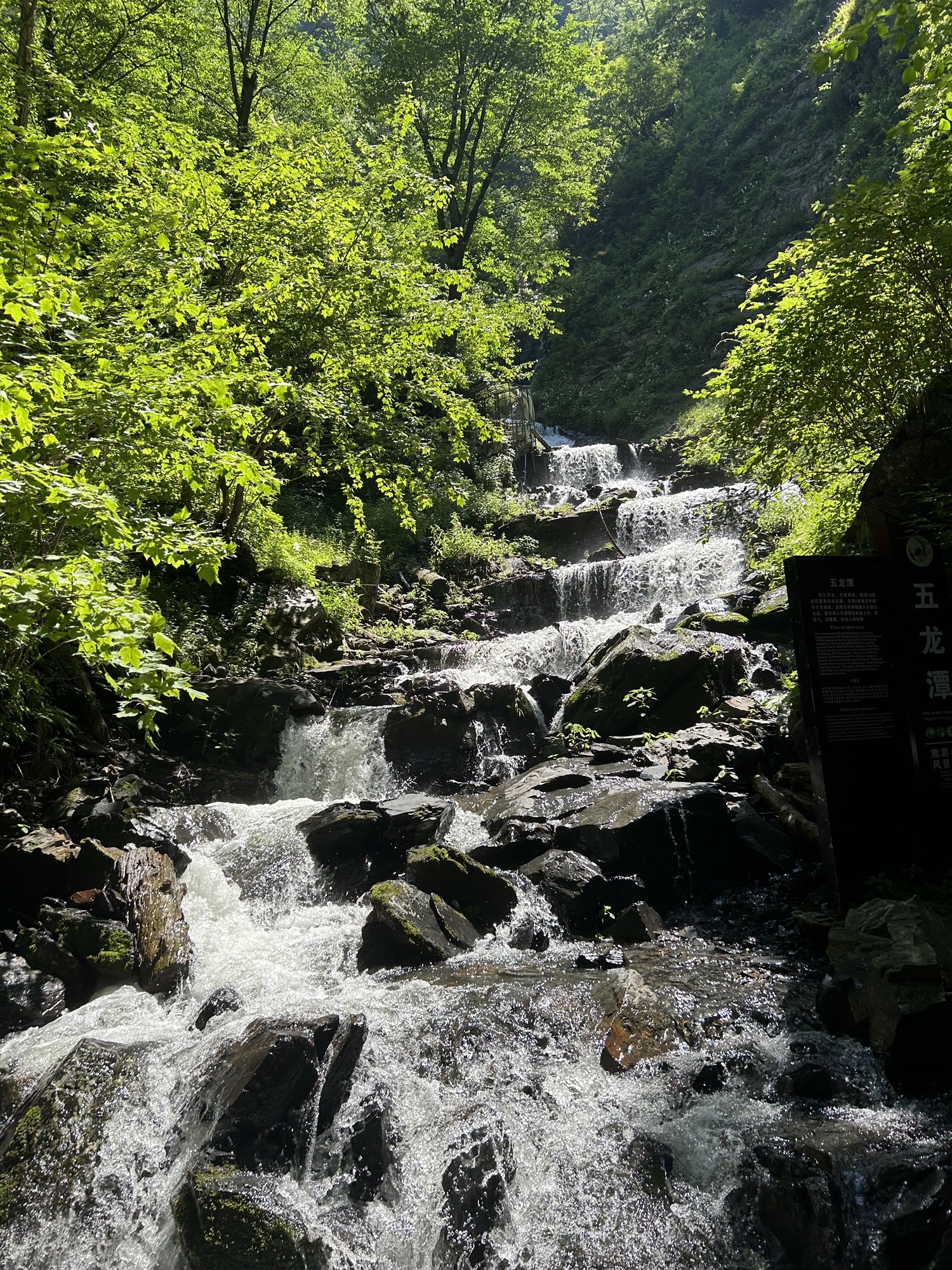 凤凰山国家森林公园(暂停开放)旅行图片 1
