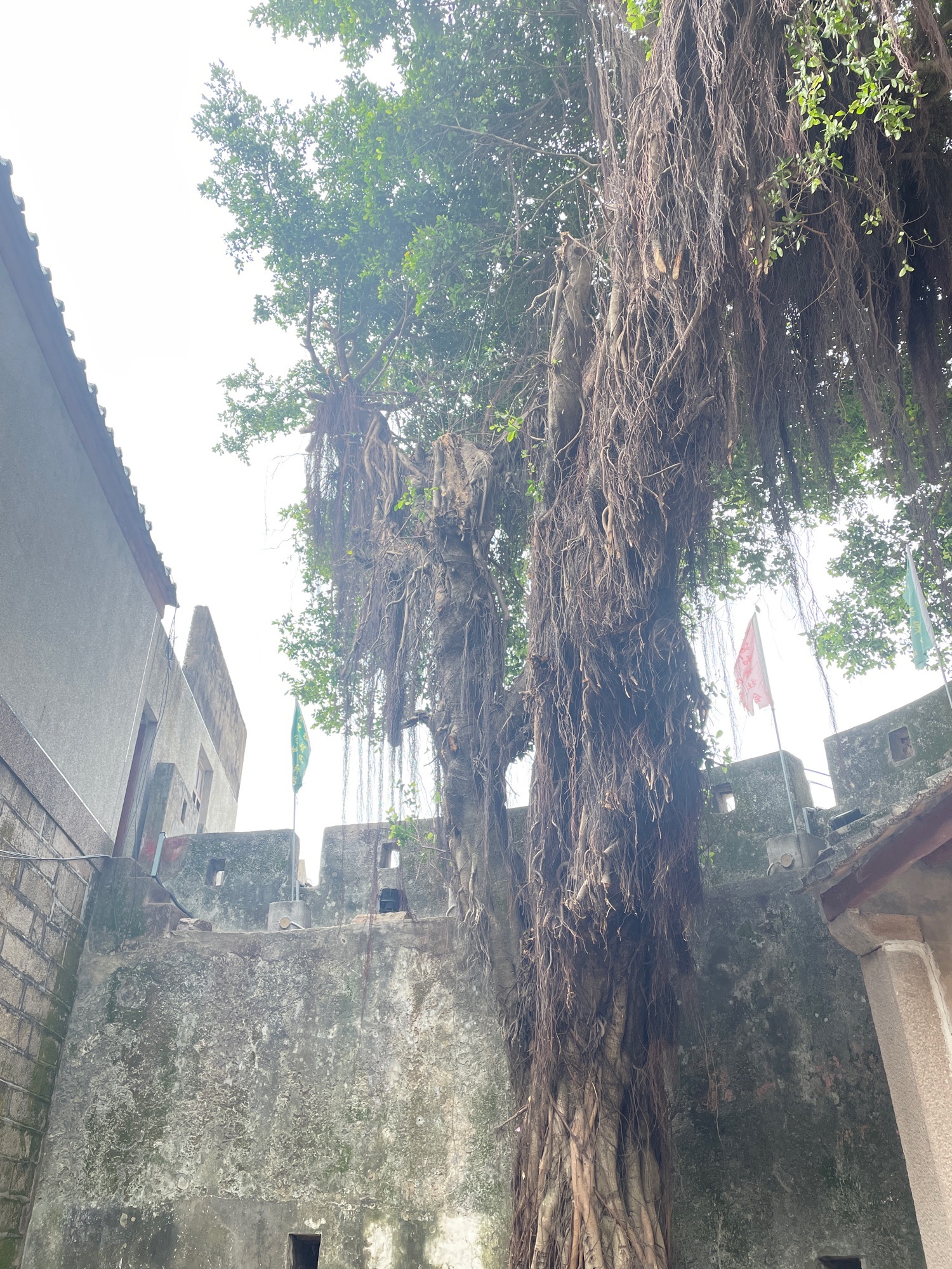 靖海古城墙旅行图片 3