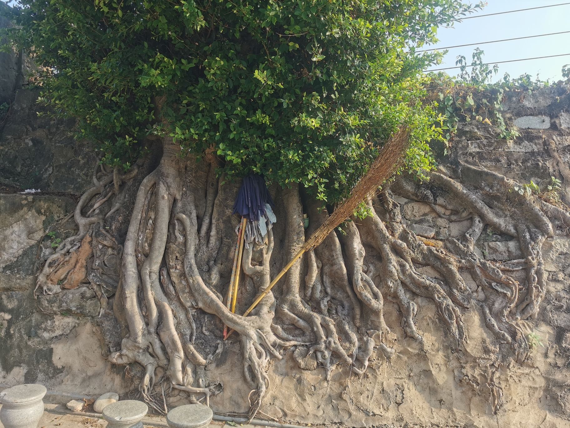 靖海古城墙旅行图片 1