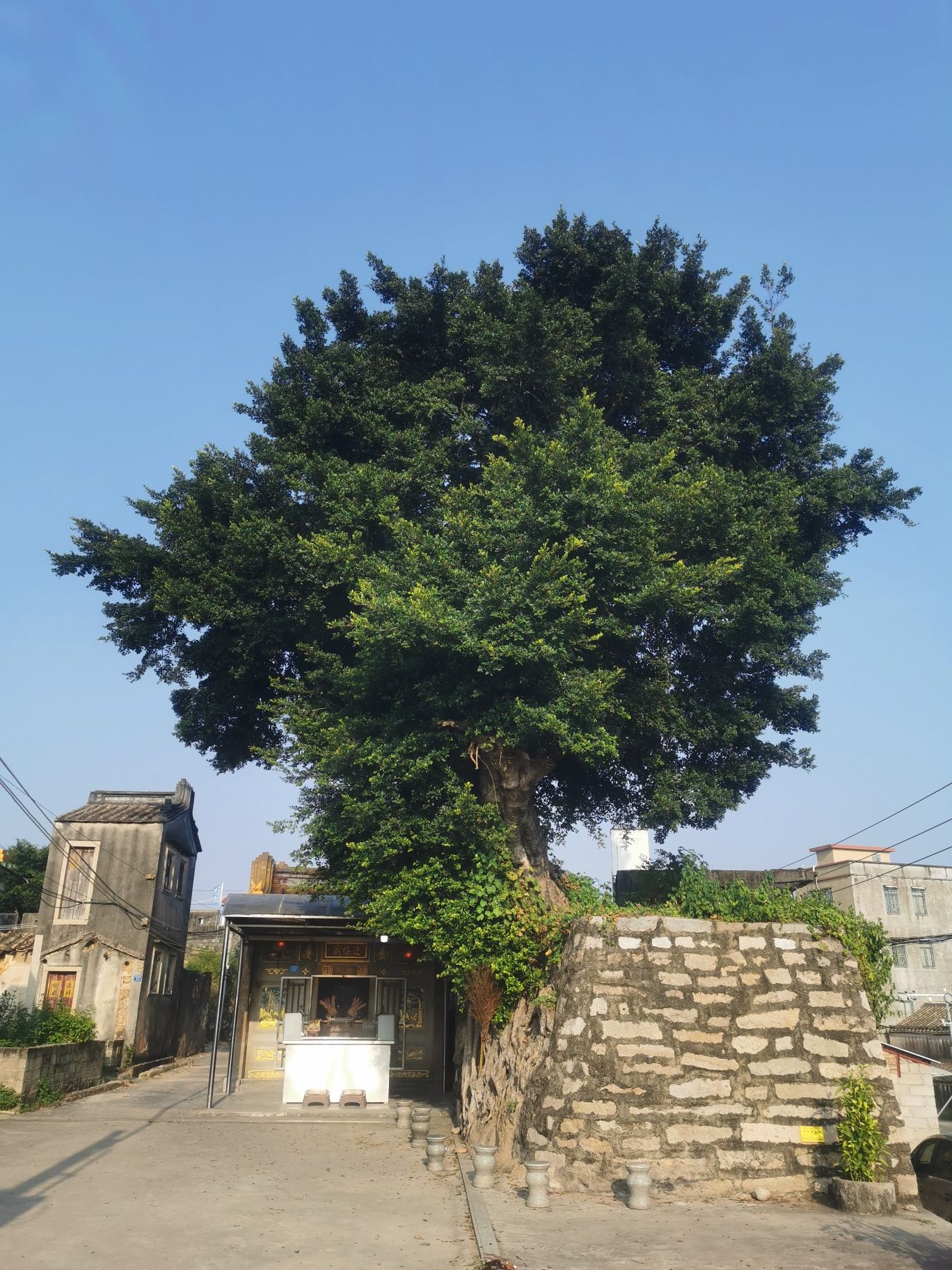 靖海古城墙旅行图片 2