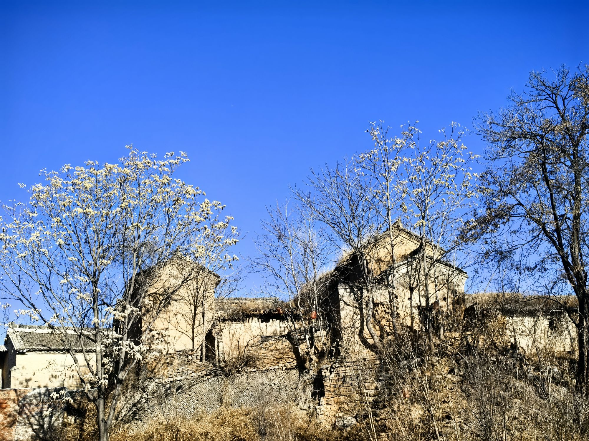 高都遗址旅行图片 1