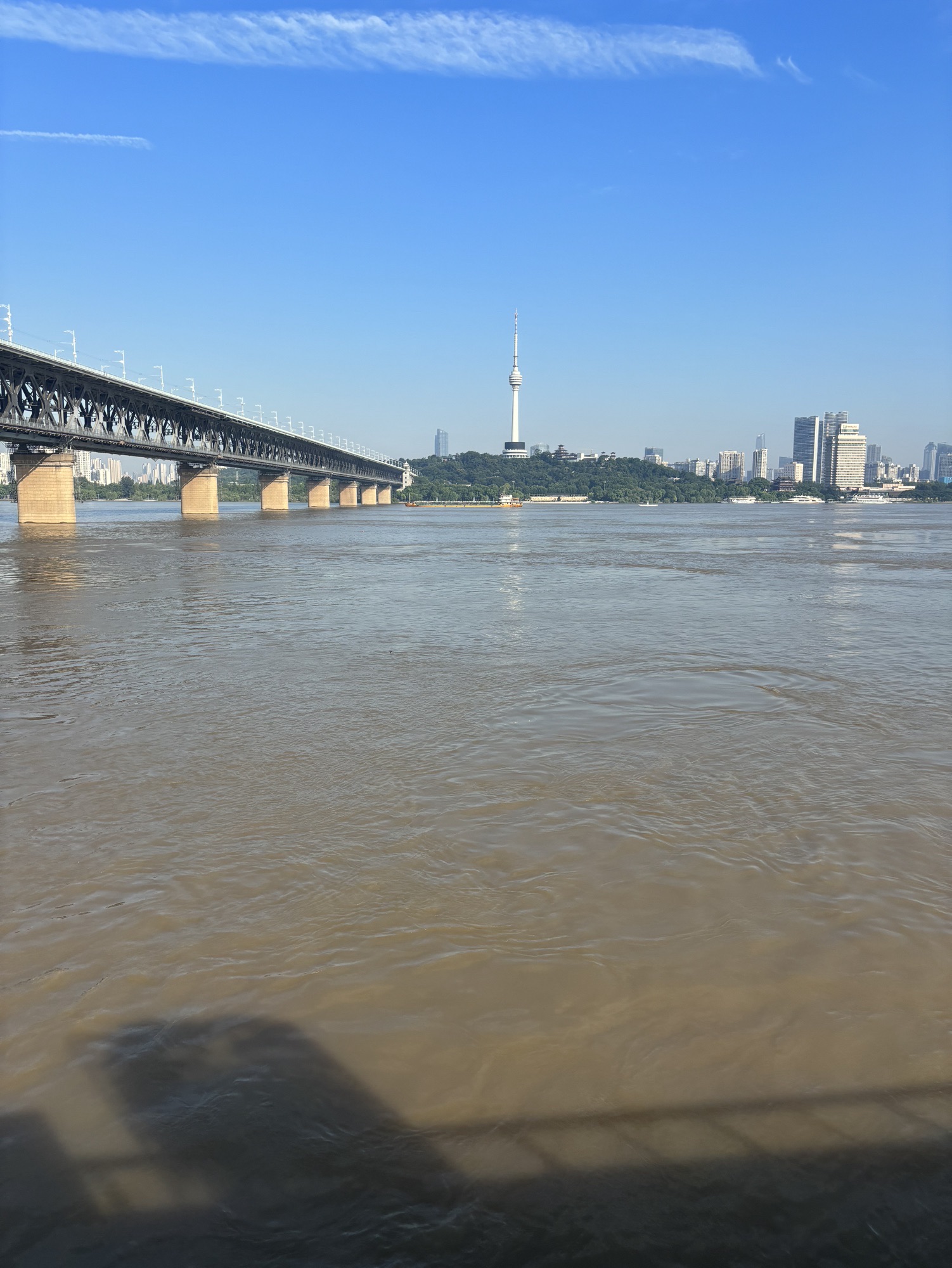 抢渡运动员集结处旅行图片 3