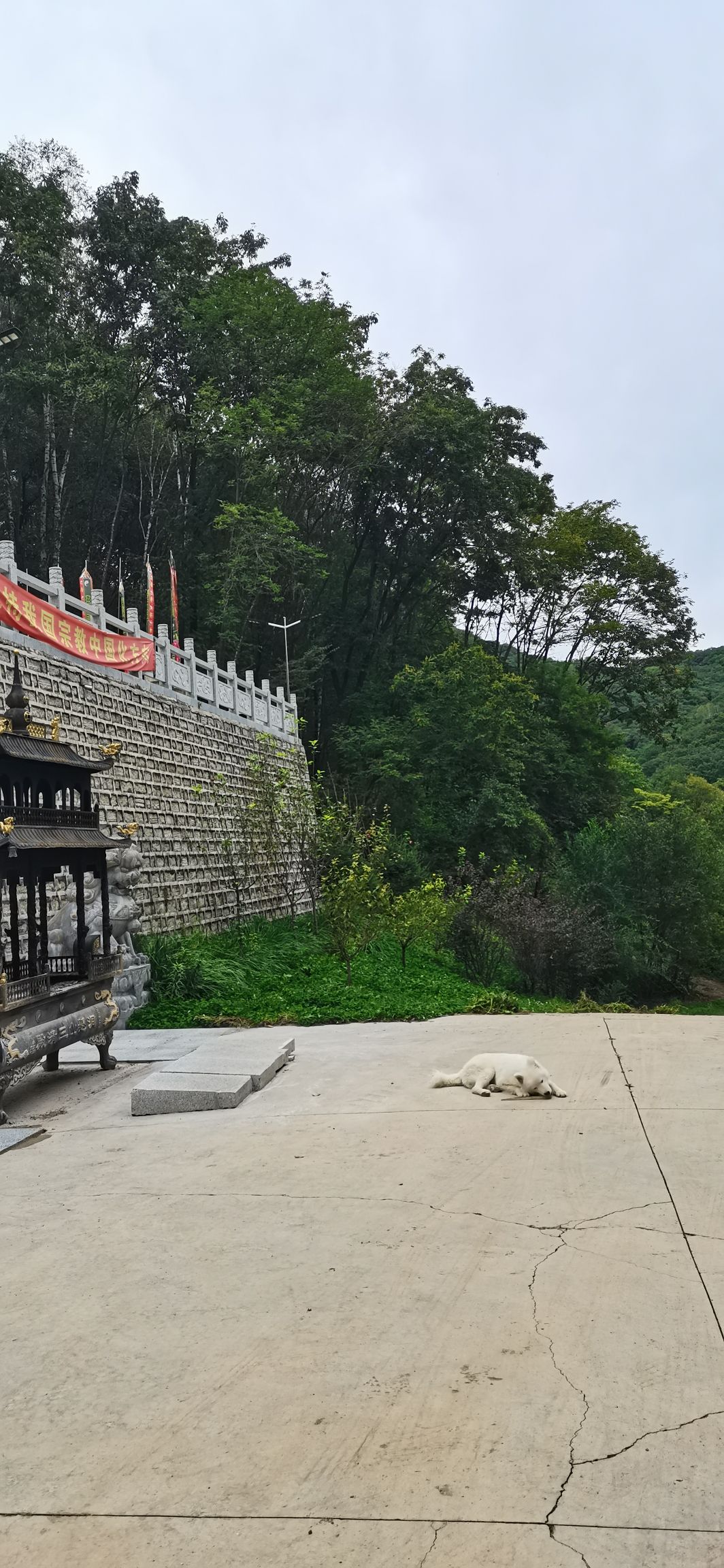 洞悬山龙华观旅行图片 1