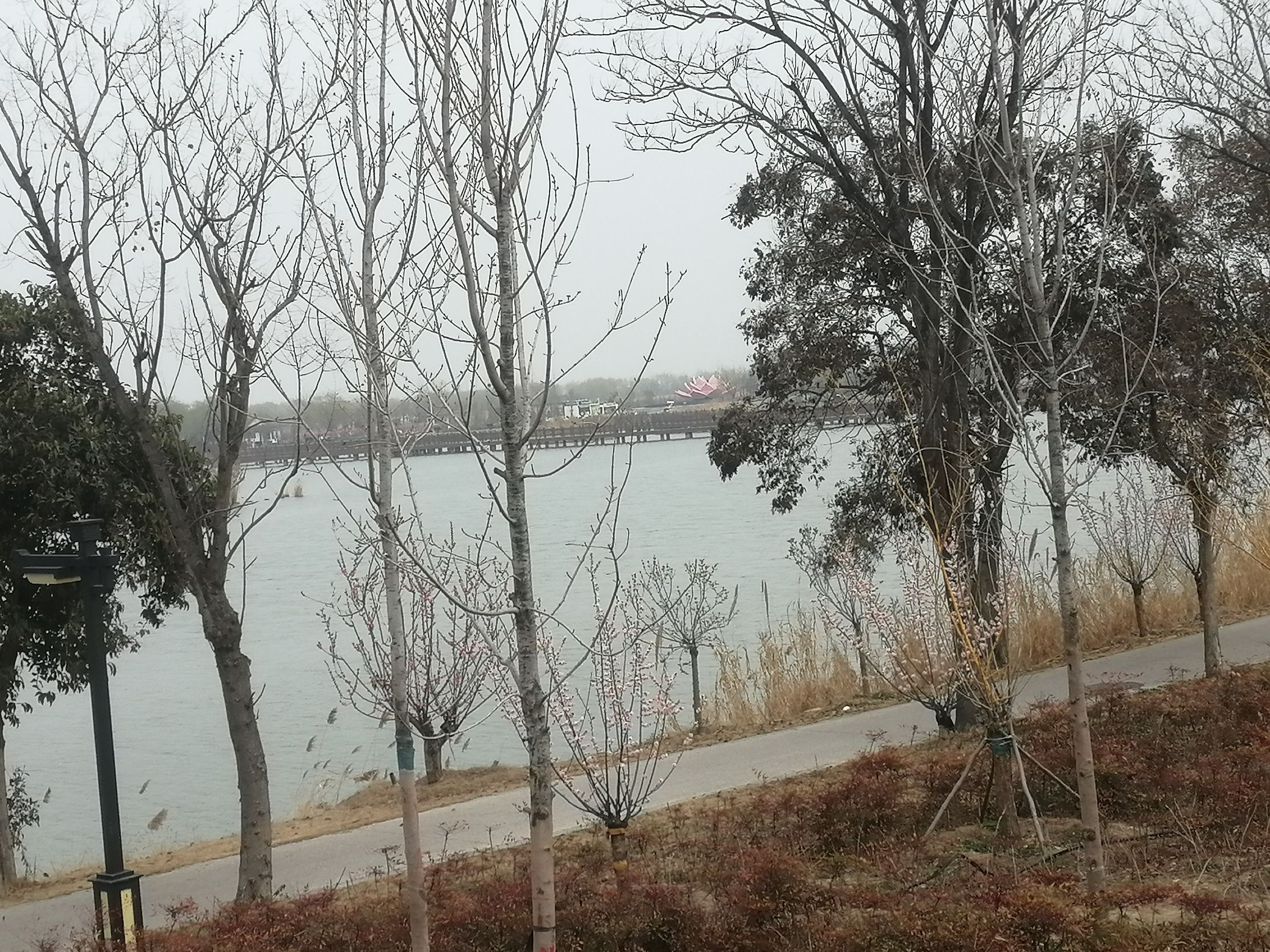 伏羲文化广场旅行图片 2